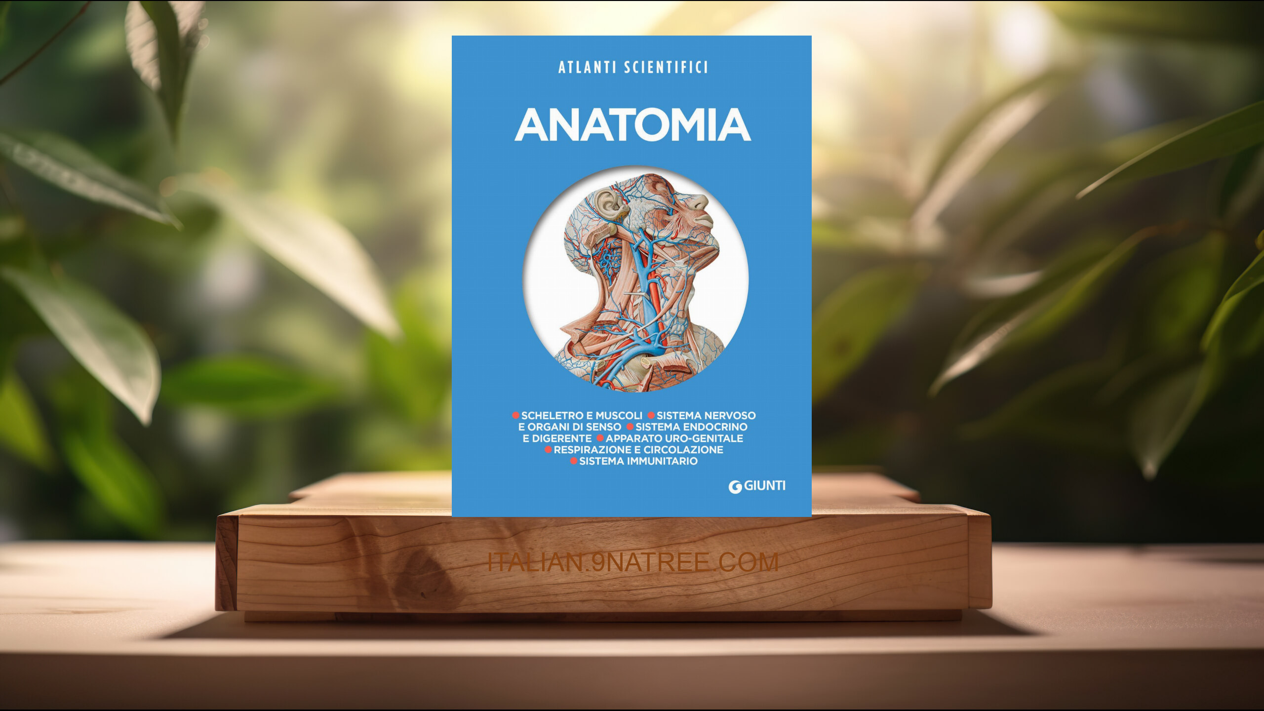 [Recensione] Anatomia (Adriana Rigutti) Riassunto.