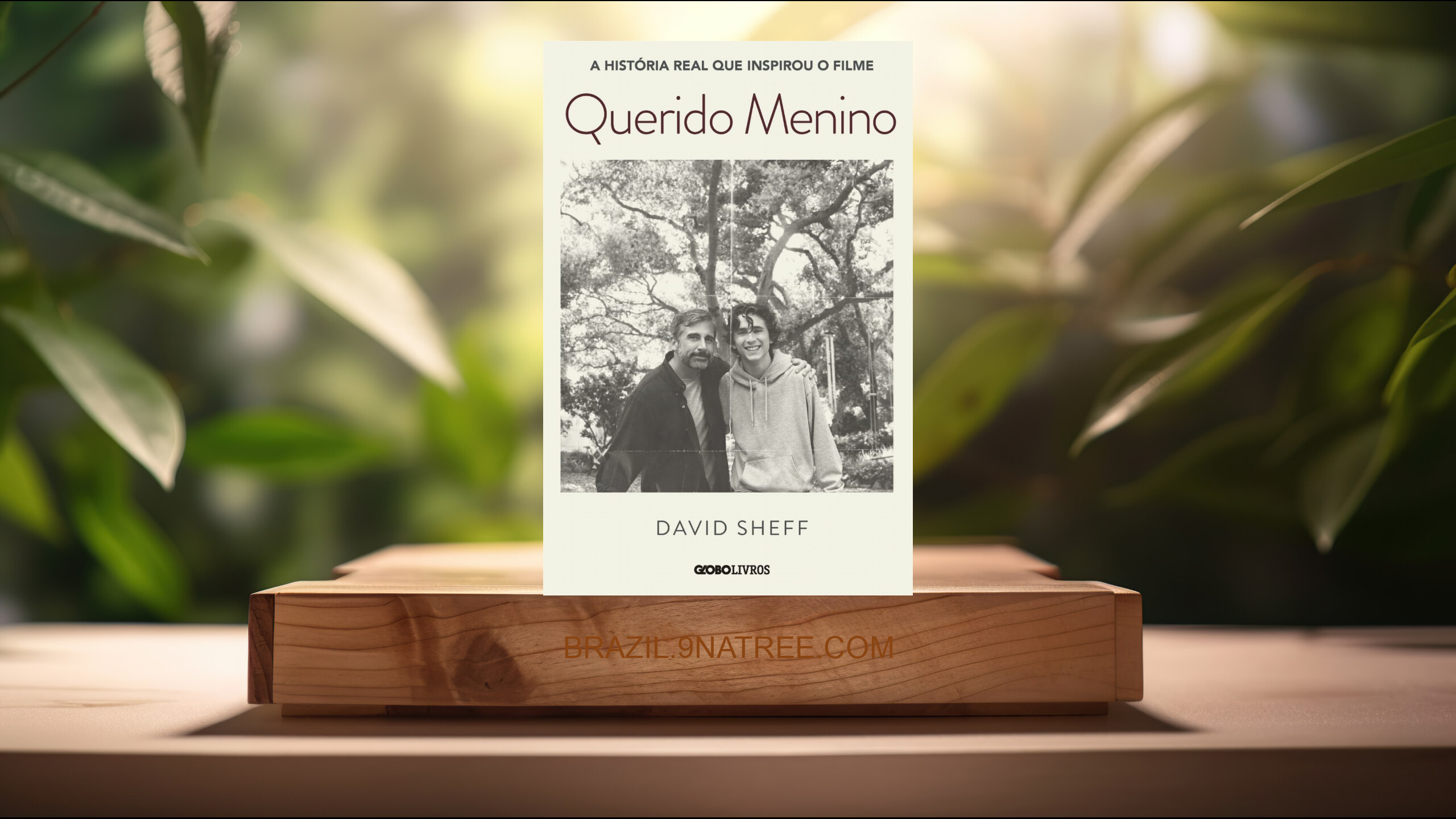 [Análises] Querido Menino (David Sheff) Resumidos.