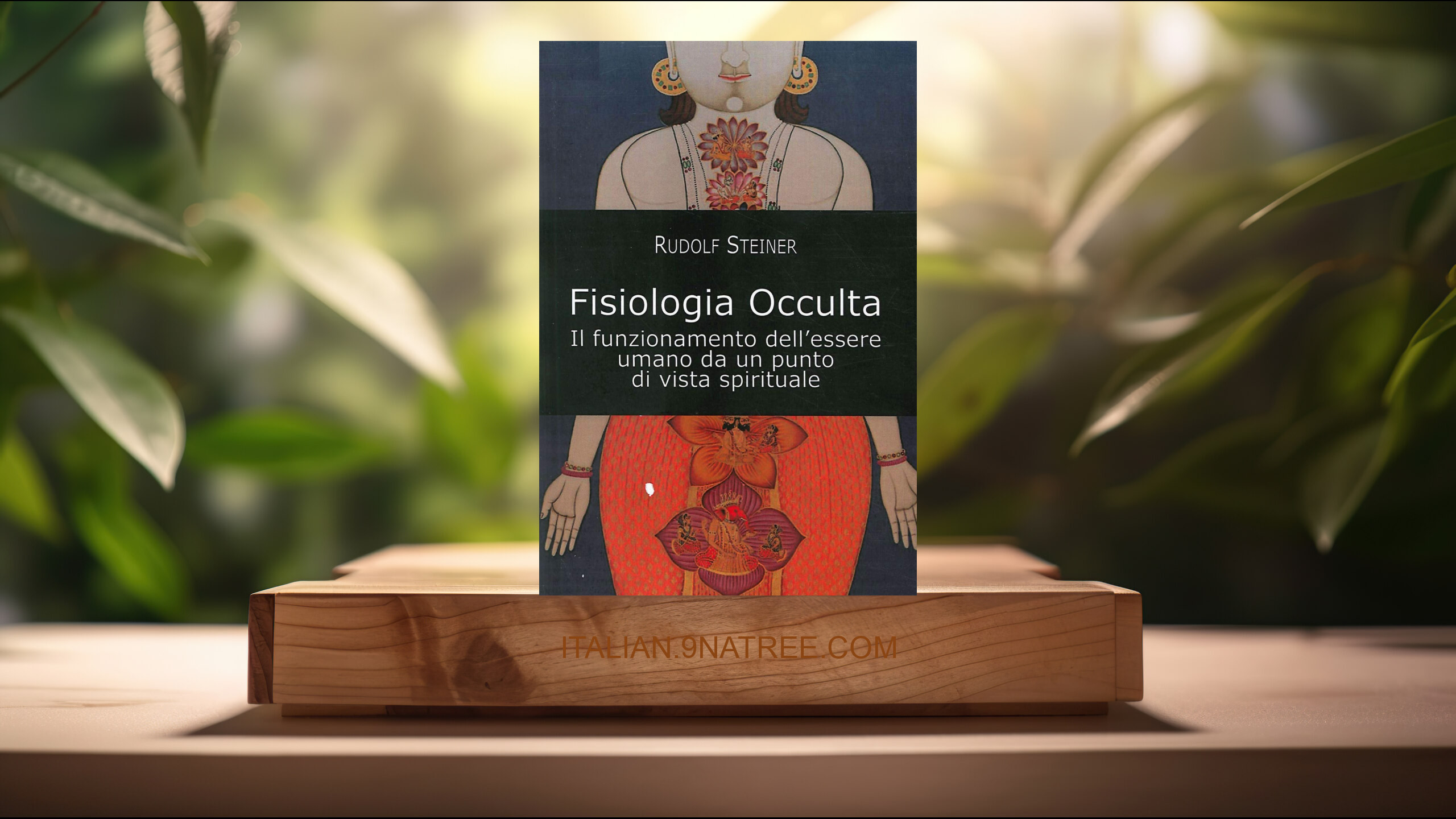 [Recensione] Fisiologia occulta. Il funzionamento dell'essere umano da un punto di vista spirituale (Rudolf Steiner) Riassunto.