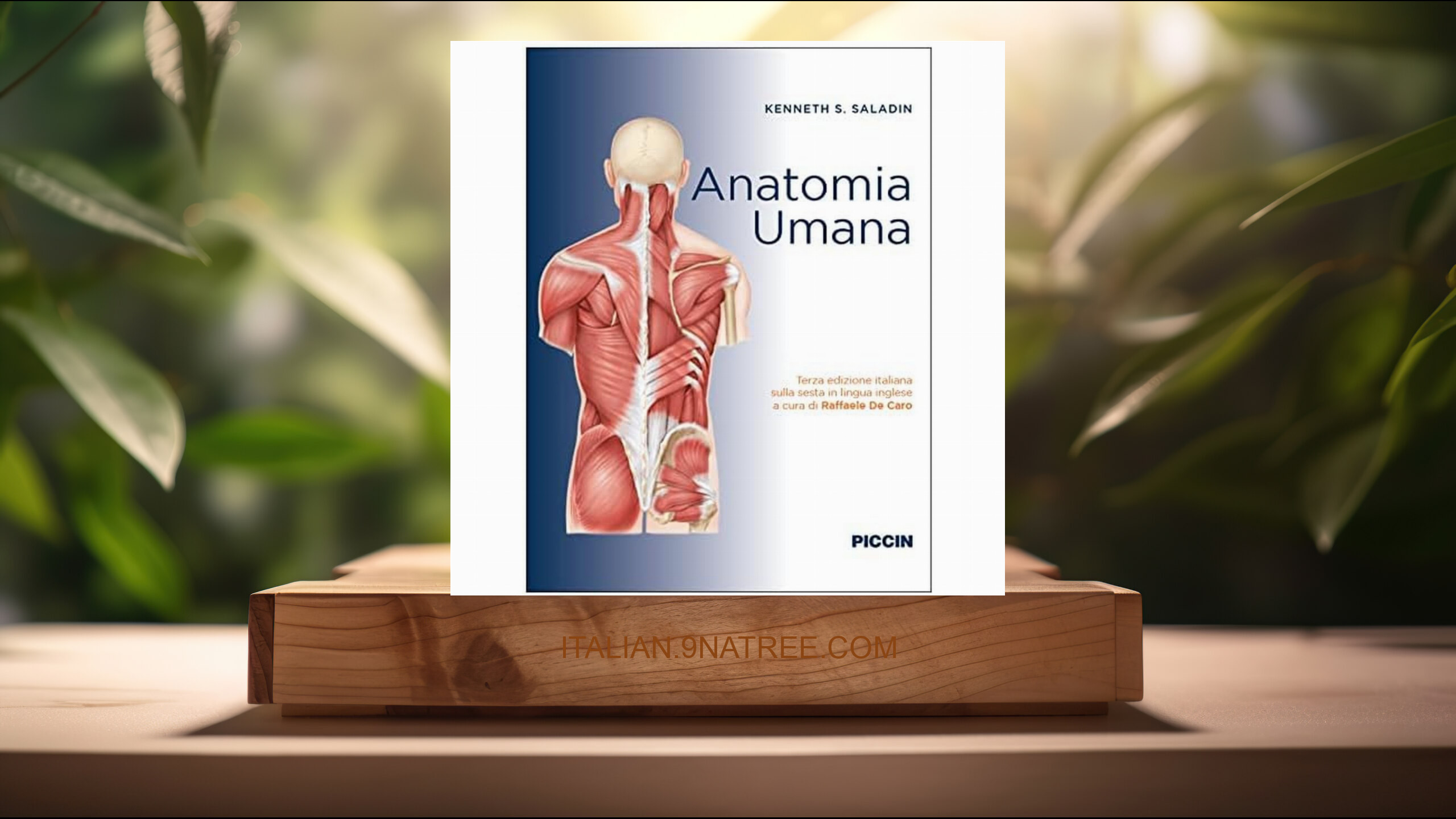 [Recensione] Anatomia umana (Kenneth S. Saladin) Riassunto.