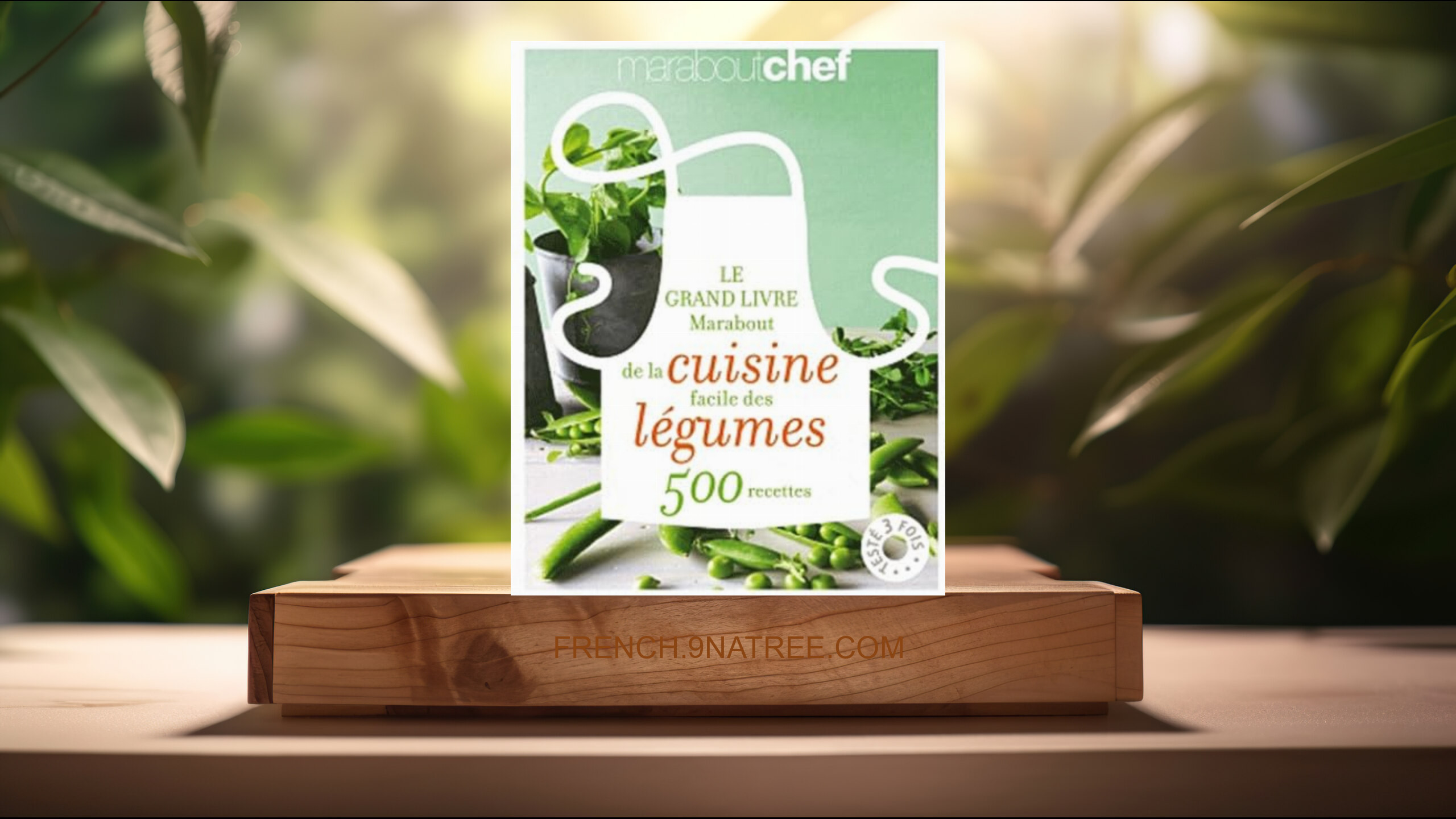 [Critique] Le grand livre Marabout de la cuisine facile des légumes (Marabout) Résumé.