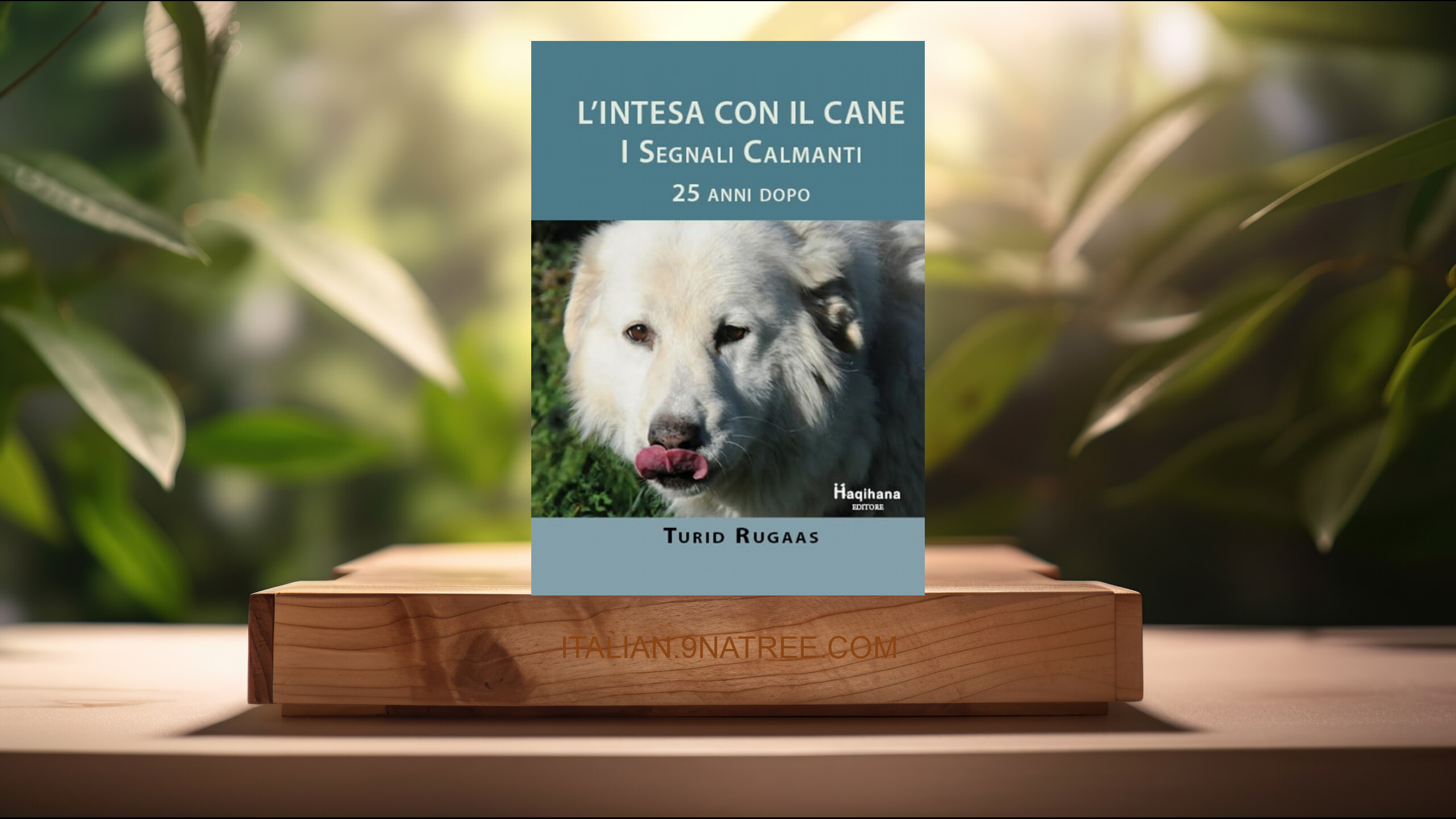 [Recensione] L'intesa con il cane. I segnali calmanti 25 anni dopo (Turid Rugaas) Riassunto.