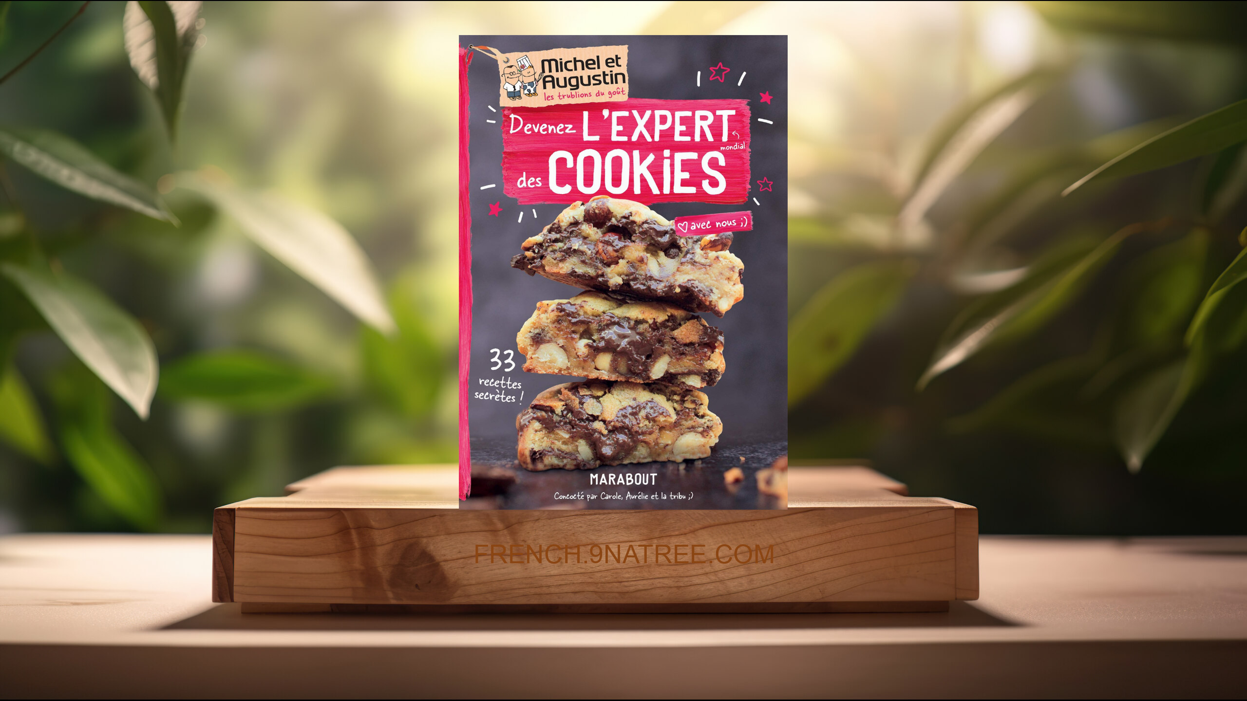 [Critique] Devenez l'expert des cookies (Michel &amp; Augustin) Résumé.