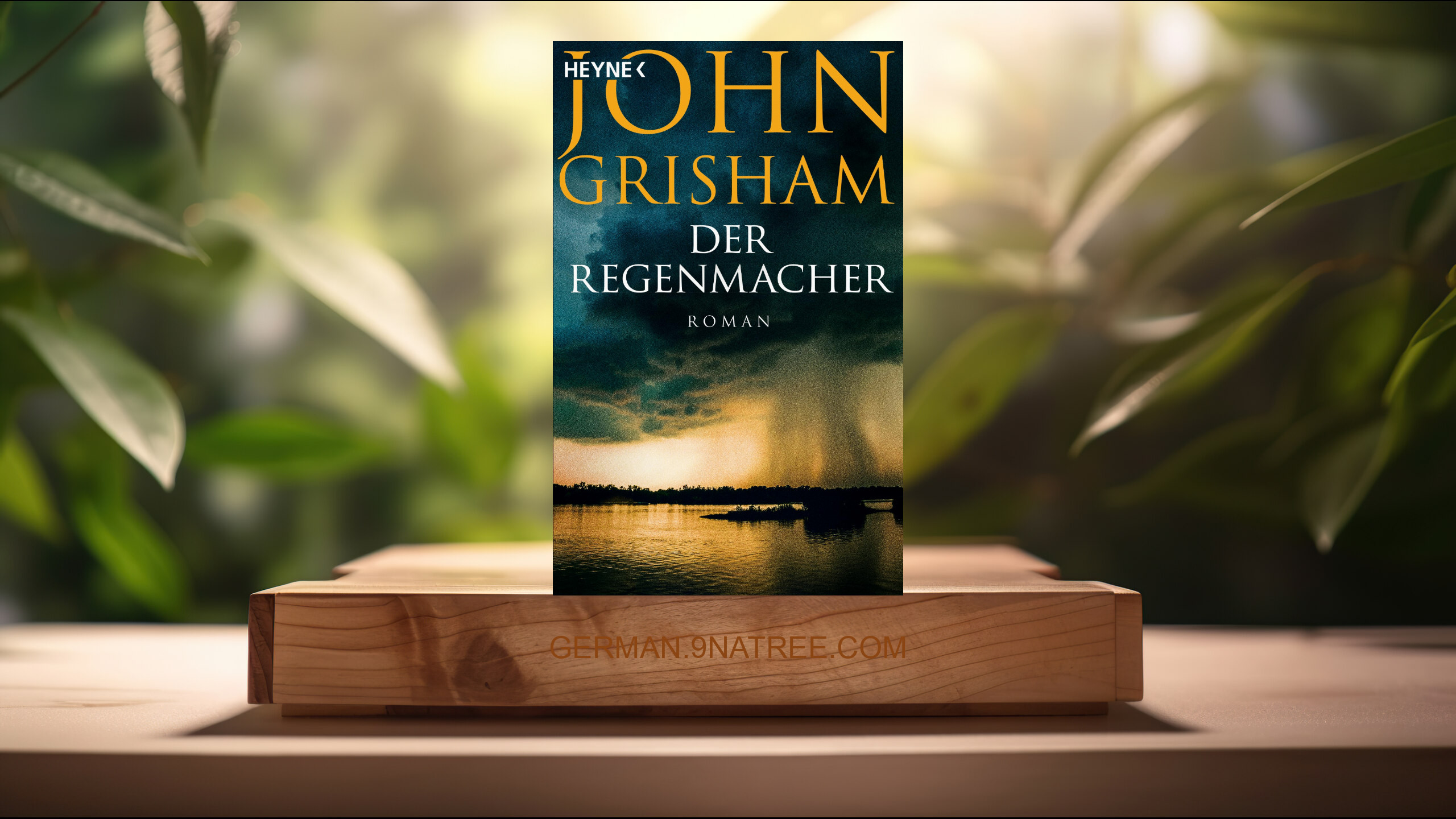 [Rezensiert] Der Regenmacher (John Grisham) Zusammengefasst.