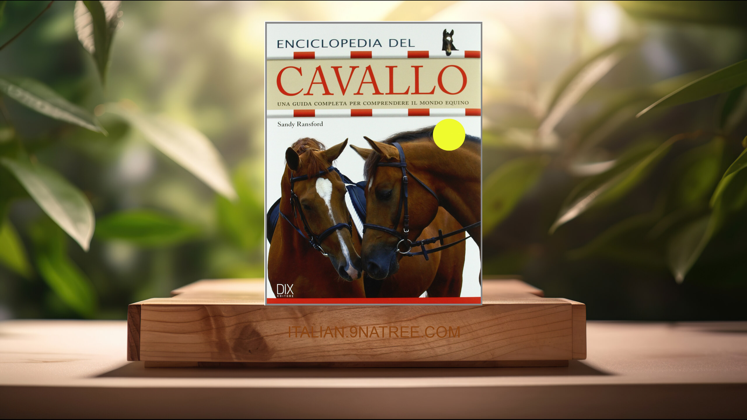 [Recensione] Enciclopedia del cavallo. Ediz. illustrata (Sandy Ransford) Riassunto.