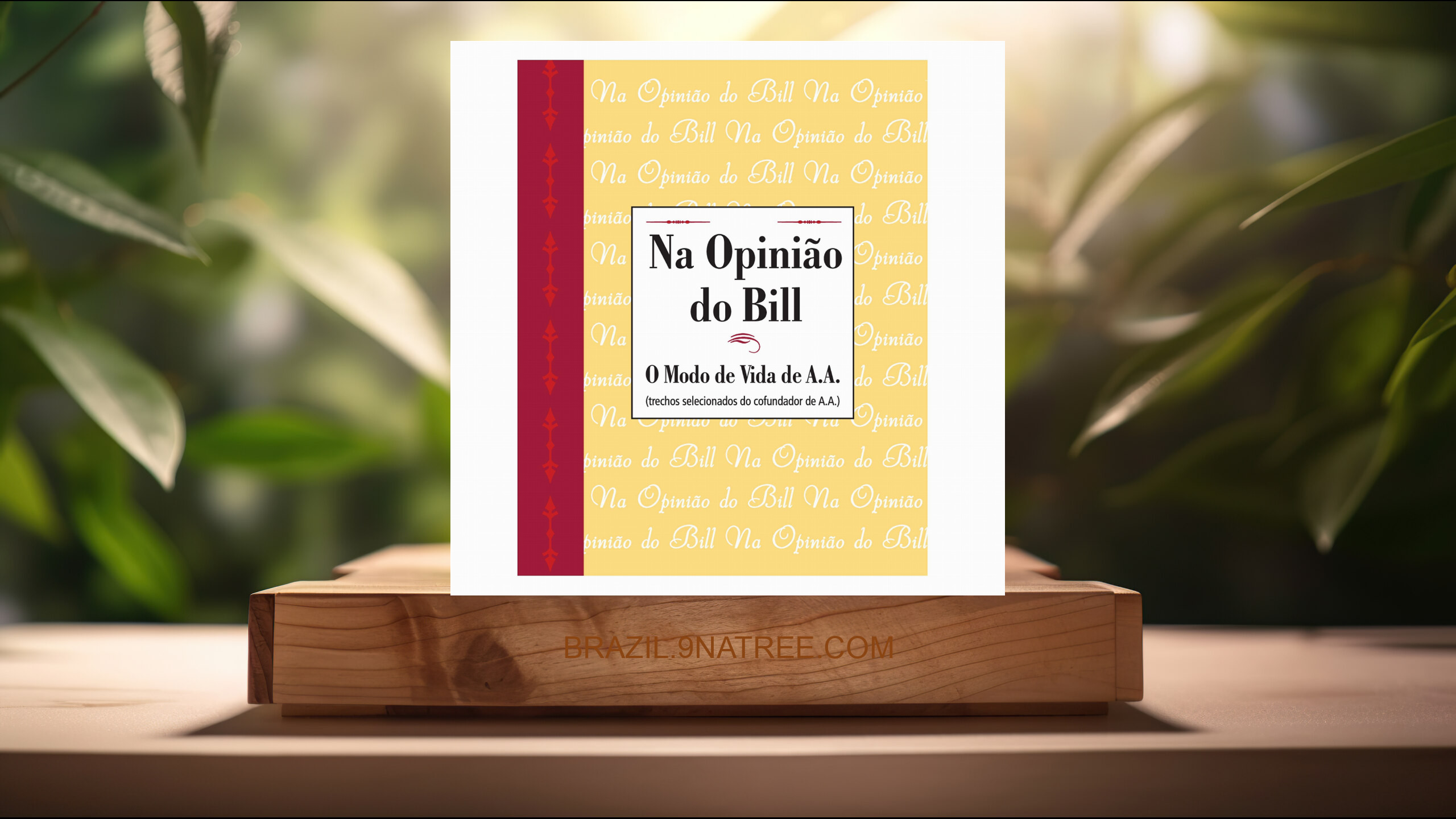 [Análises] Na opinião de Bill (Alcoholics Anonymous World Services Inc. (A.A.W.S.)) Resumidos.