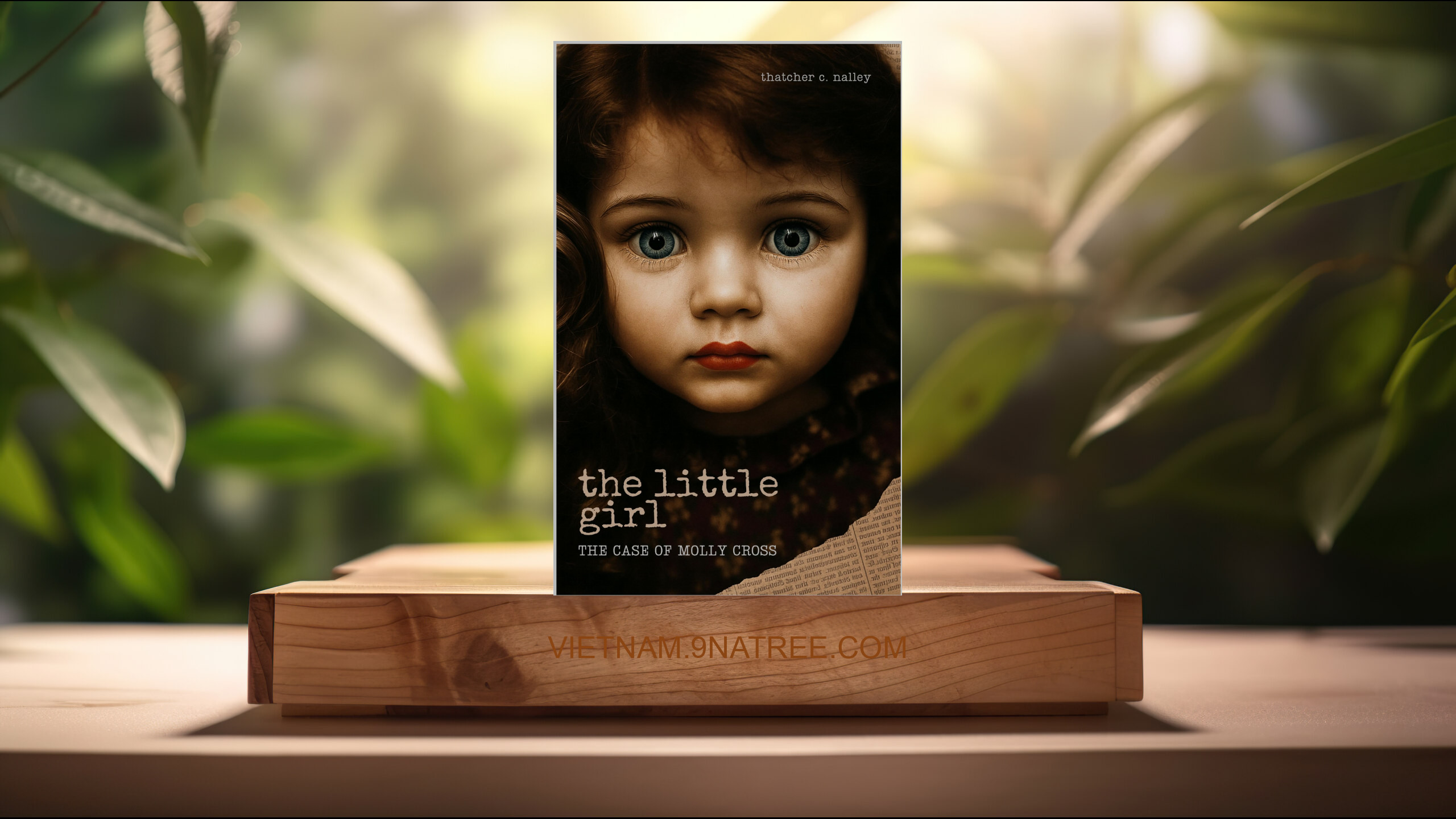 [Đánh giá] The Little Girl: The Case of Molly Cross (Thatcher C Nalley) Tóm tắt.