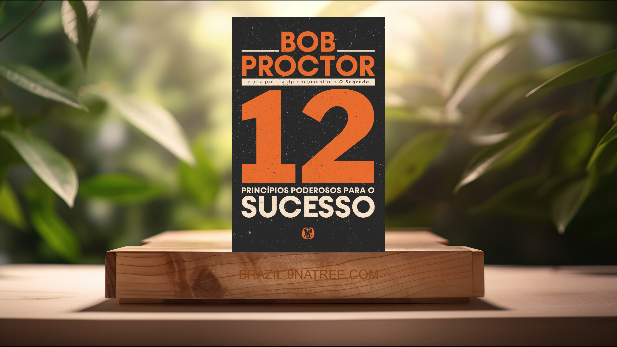 [Análises] 12 princípios poderosos para o sucesso (Bob Proctor) Resumidos.