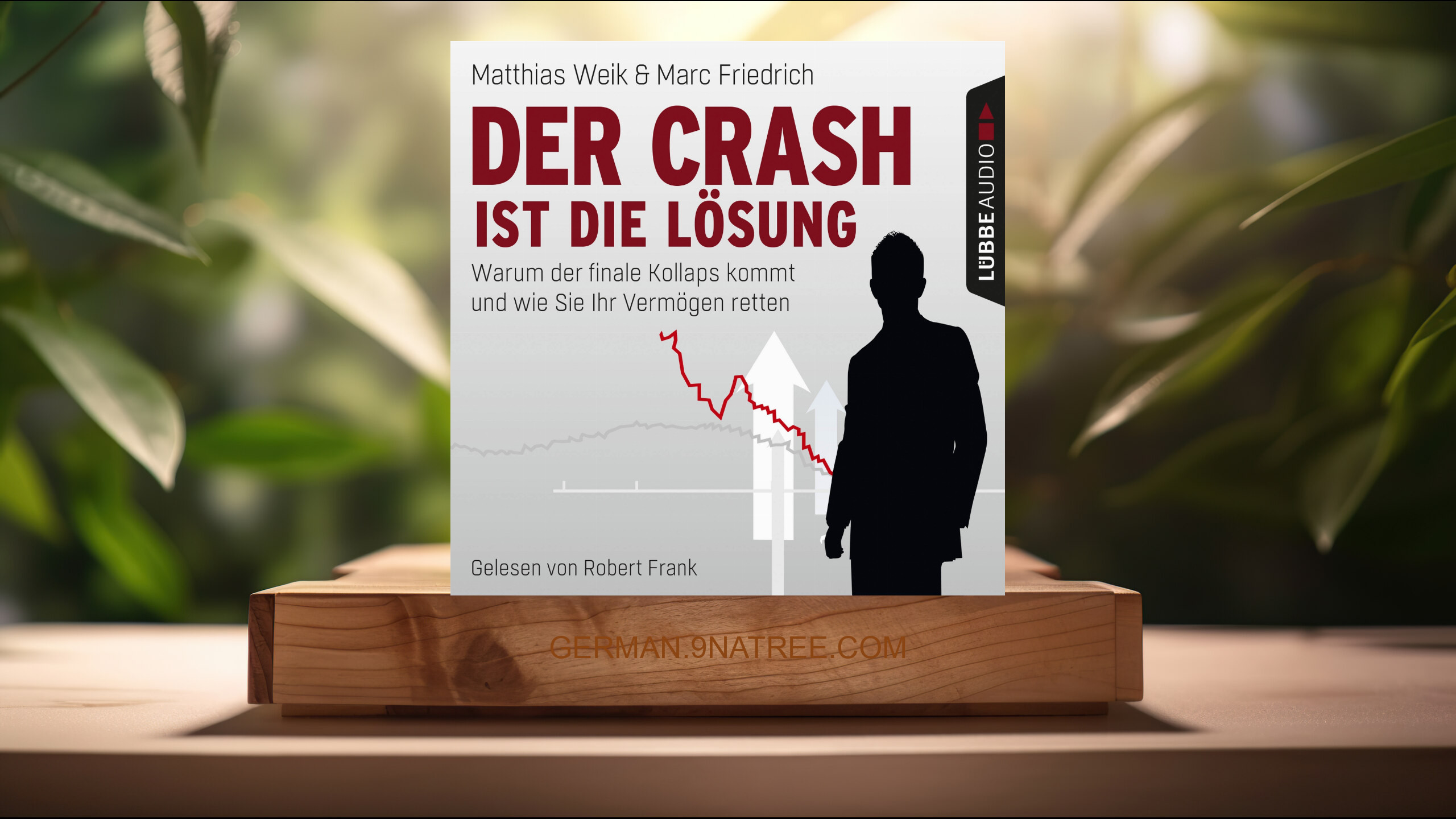 [Rezensiert] Der Crash ist die Lösung (Matthias Weik) Zusammengefasst.