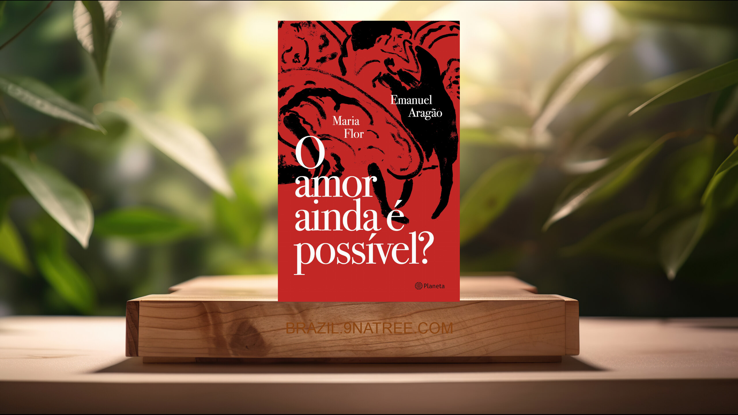 [Análises] O amor ainda é possível? (Maria Flor) Resumidos.