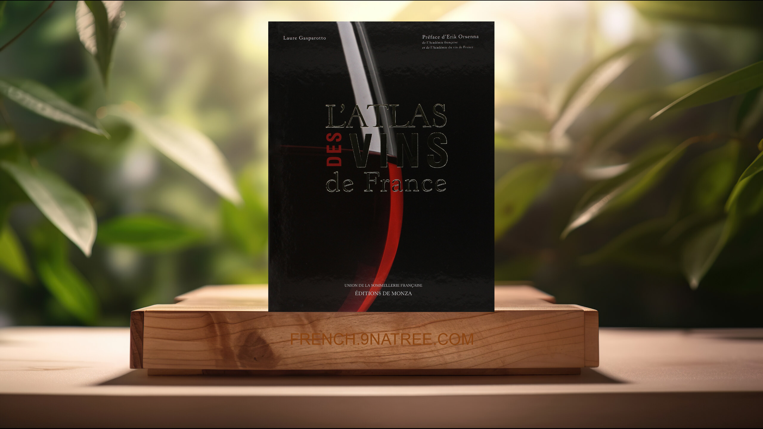 [Critique] L'ATLAS DES VINS DE FRANCE 2018 (GASPAROTTO LAURE) Résumé.