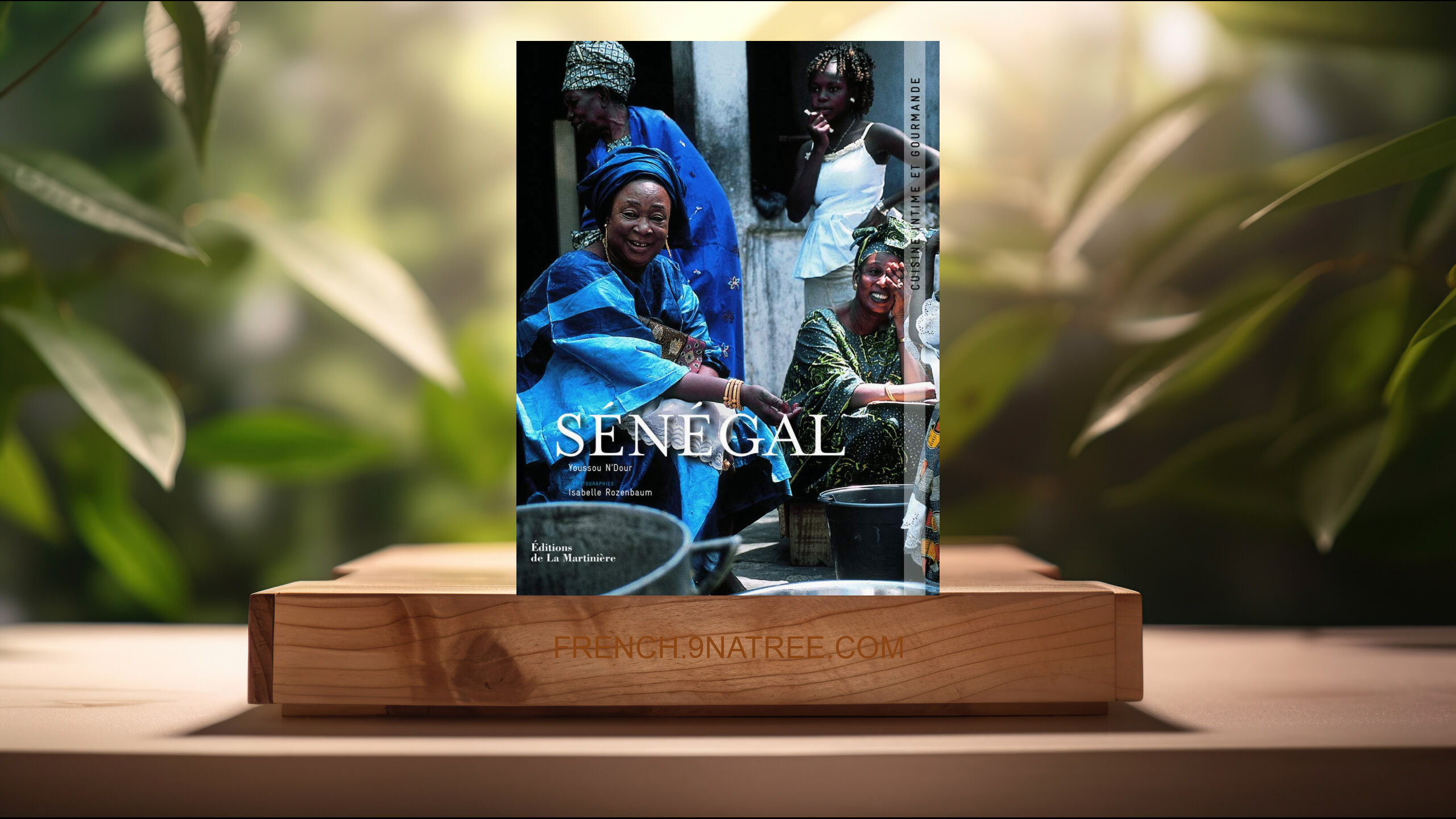 [Critique] Sénégal : Cuisine intime et gourmande (Youssou N'Dour) Résumé.