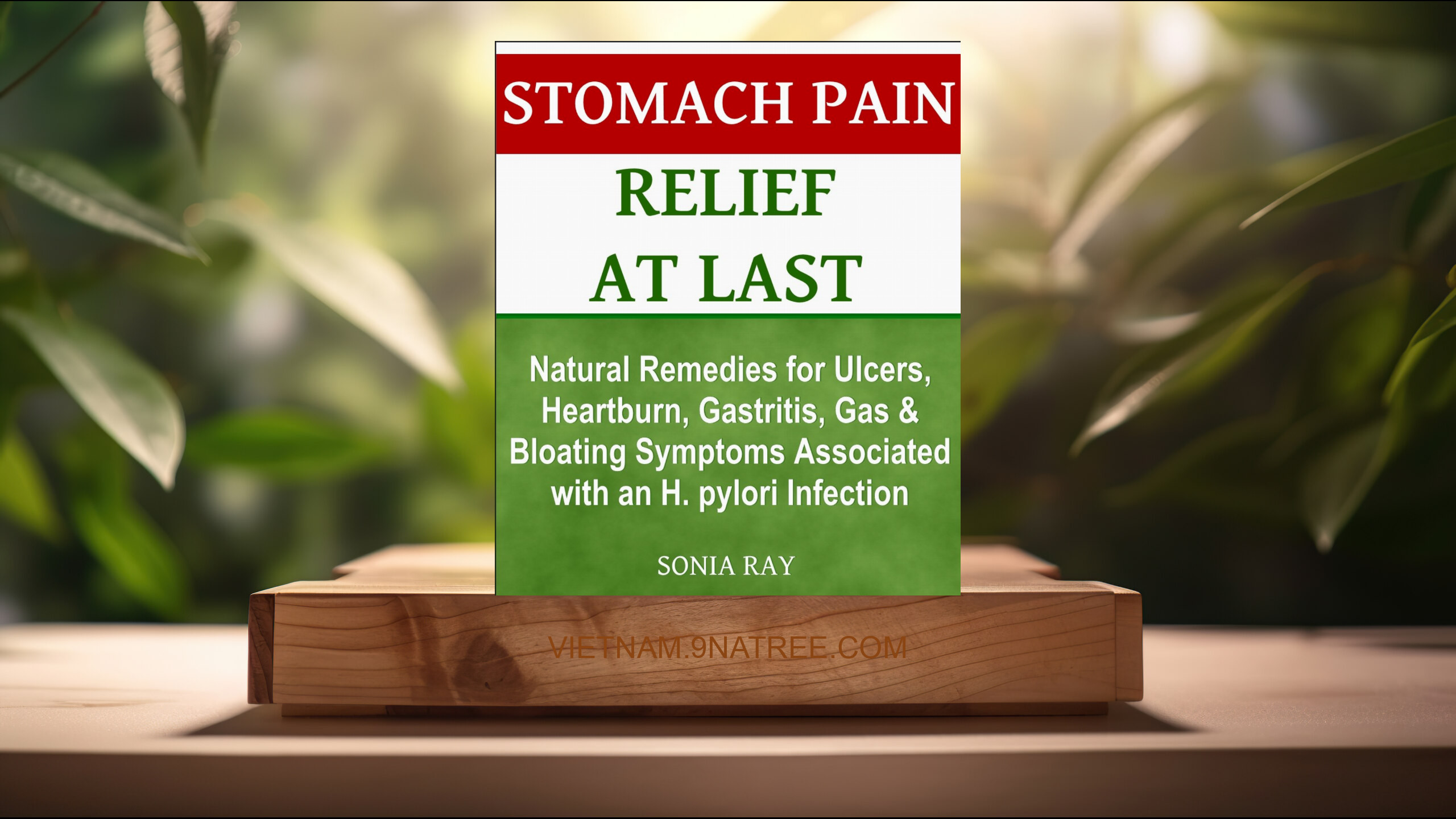 [Đánh giá] Stomach Pain Relief at Last (Sonia Ray) Tóm tắt.