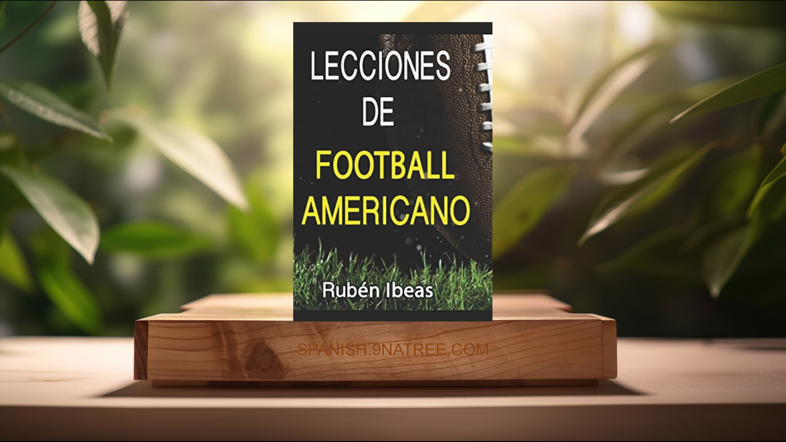 [Reseña] LECCIONES DE FOOTBALL AMERICANO (RUBEN IBEAS GARCIA) Resumida.