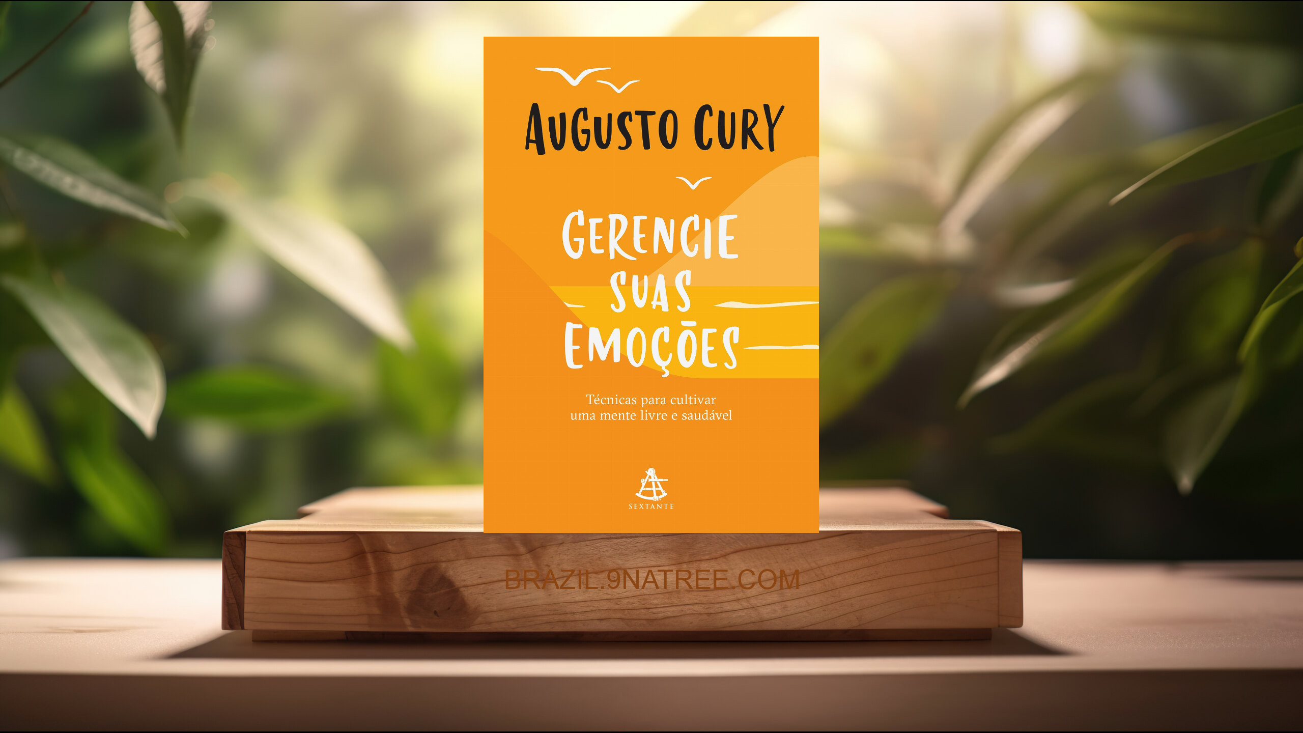[Análises] Gerencie suas emoções (Augusto Cury) Resumidos.