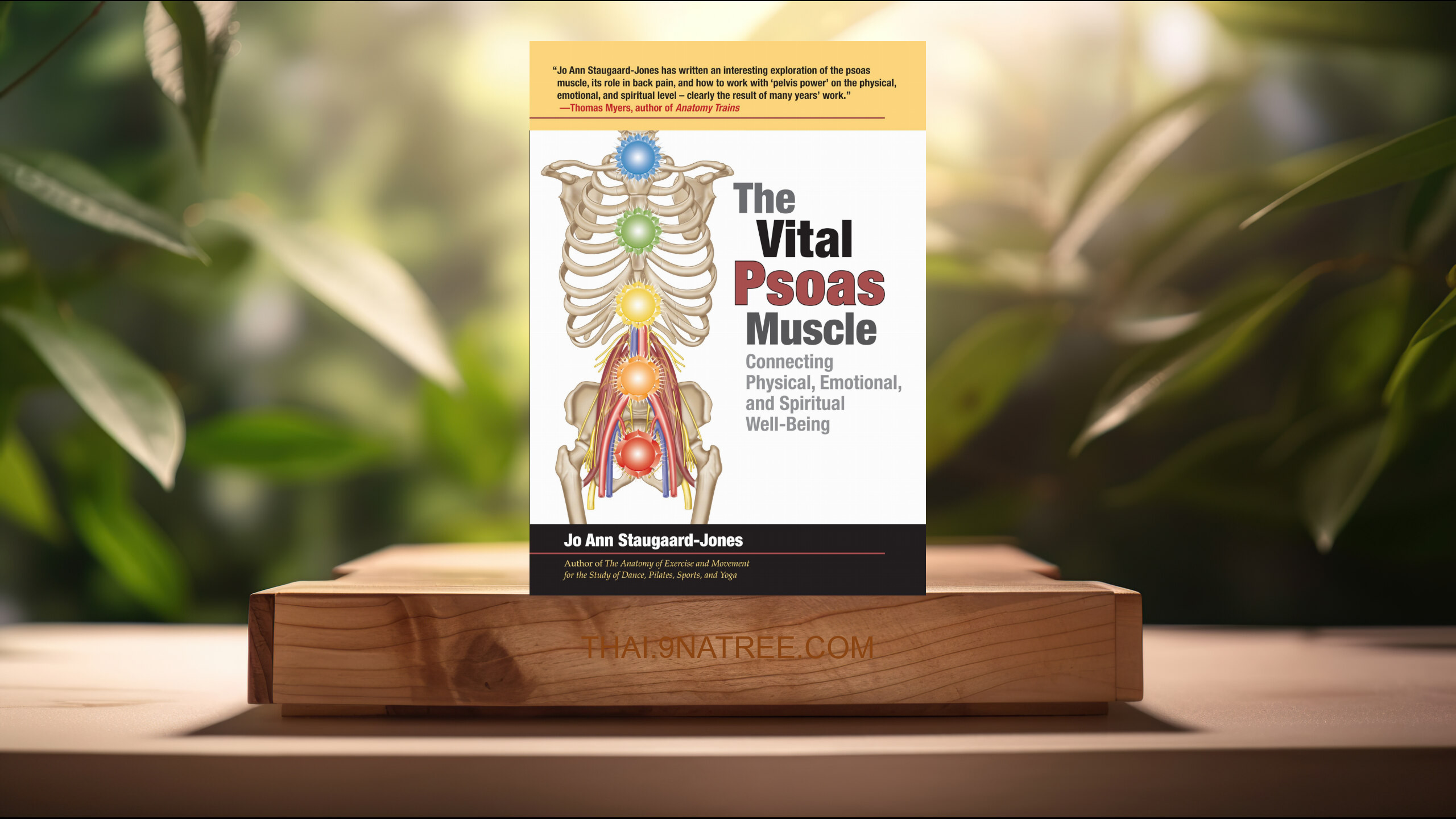 [รีวิว] The Vital Psoas Muscle (Jo Ann Staugaard-Jones) สรุปหนังสือ.