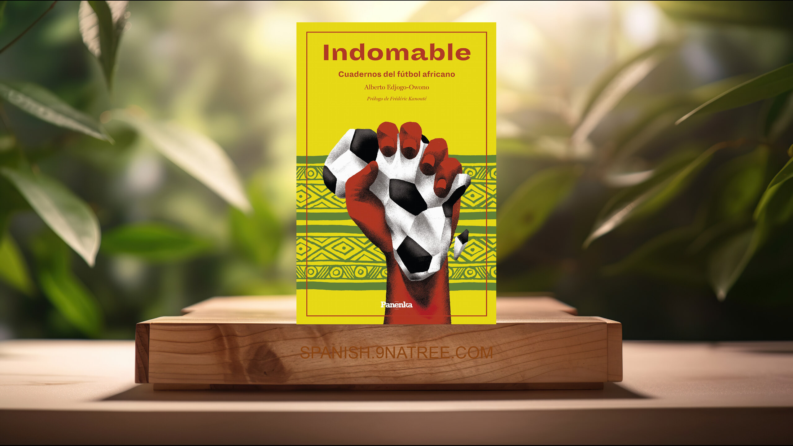 [Reseña] Indomable: Cuadernos de fútbol africano (Alberto Edjogo-Owono) Resumida.