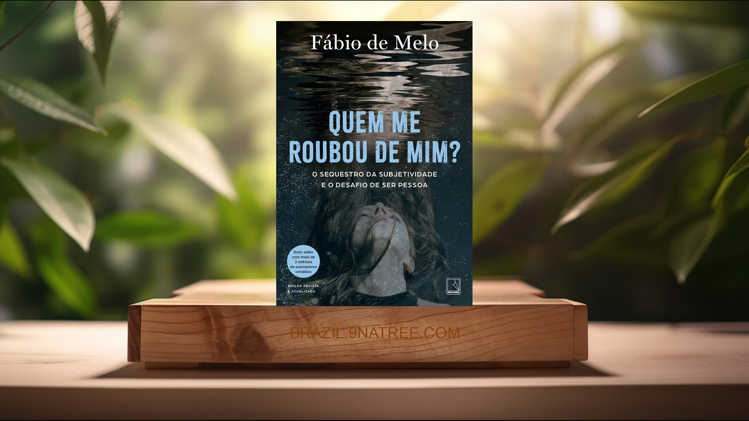 [Análises] Quem me roubou de mim? (Fábio De Melo) Resumidos.