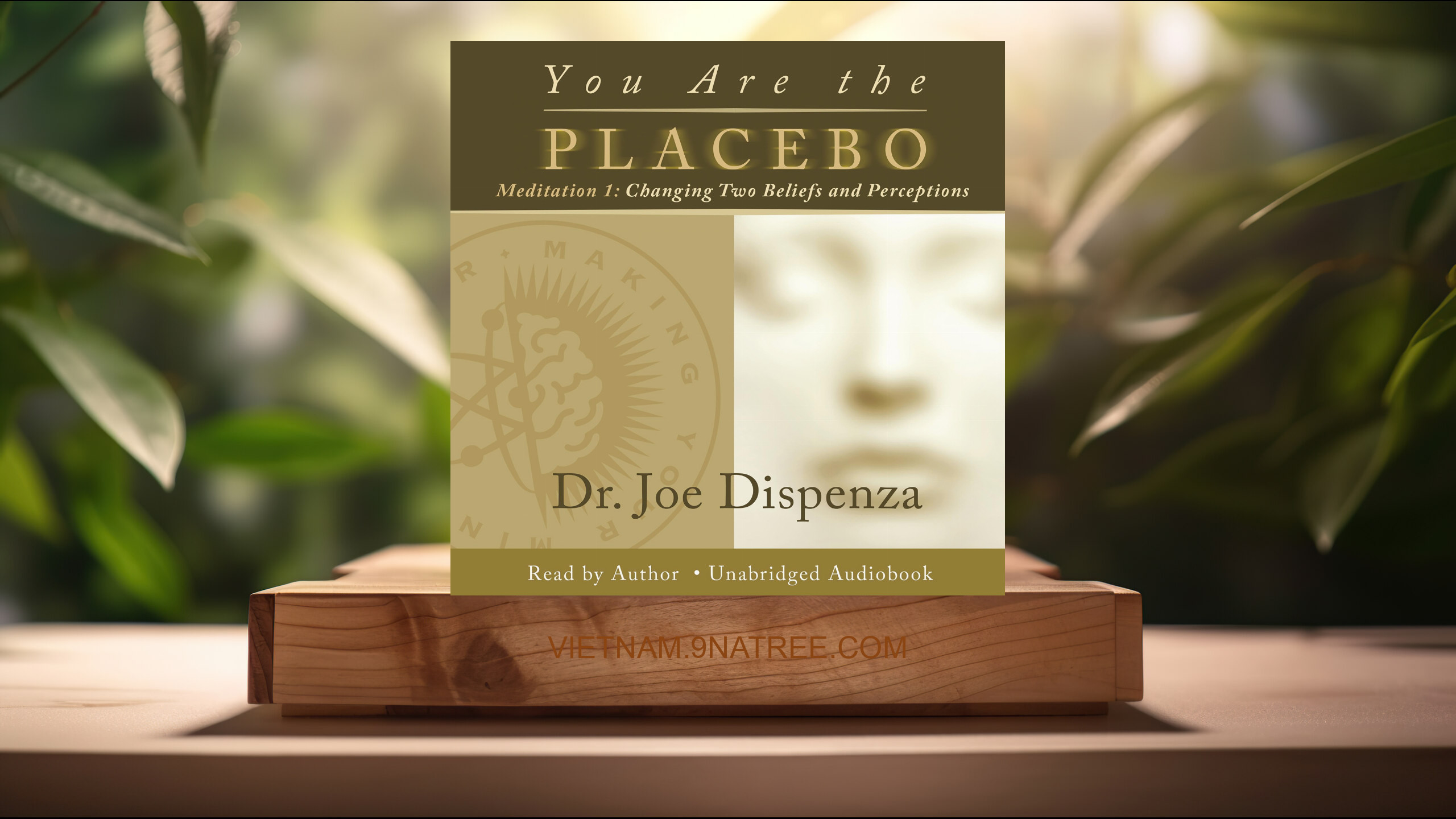 [Đánh giá] You Are the Placebo Meditation 1 - Revised Edition (Joe Dispenza) Tóm tắt.