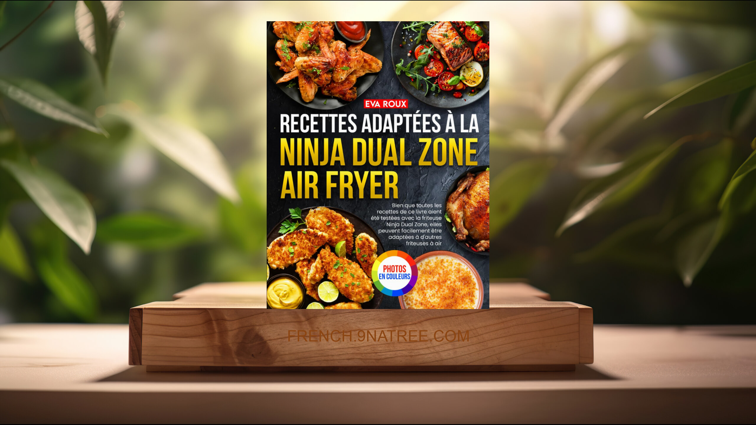 [Critique] Recettes adaptées à la Ninja Dual Zone Air Fryer (Eva ROUX) Résumé.