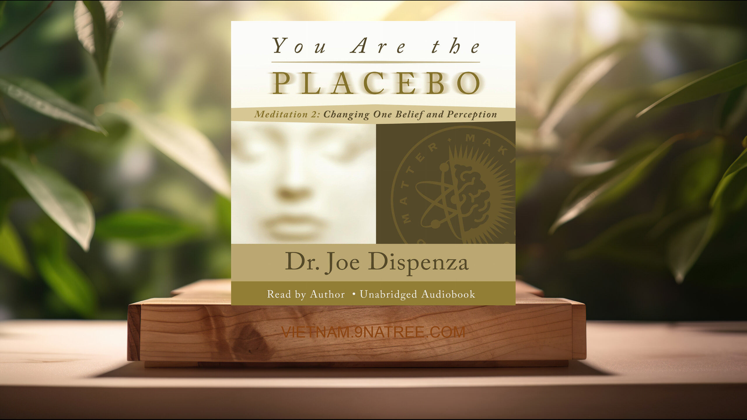 [Đánh giá] You Are the Placebo Meditation 2 : Changing One Belief and Perception (Joe Dispenza) Tóm tắt.