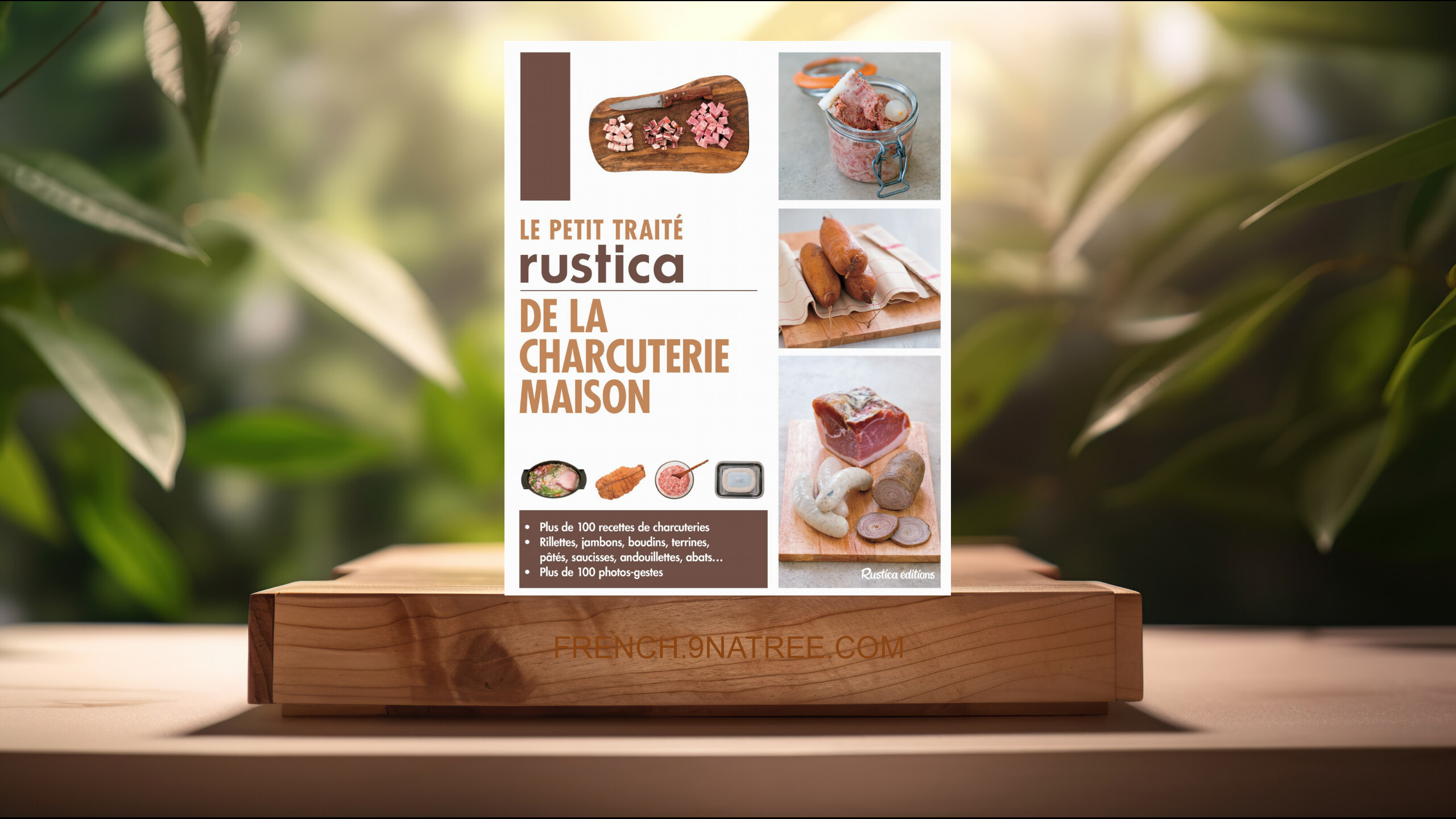 [Critique] Le petit traité Rustica de la charcuterie maison (Caroline Guézille) Résumé.