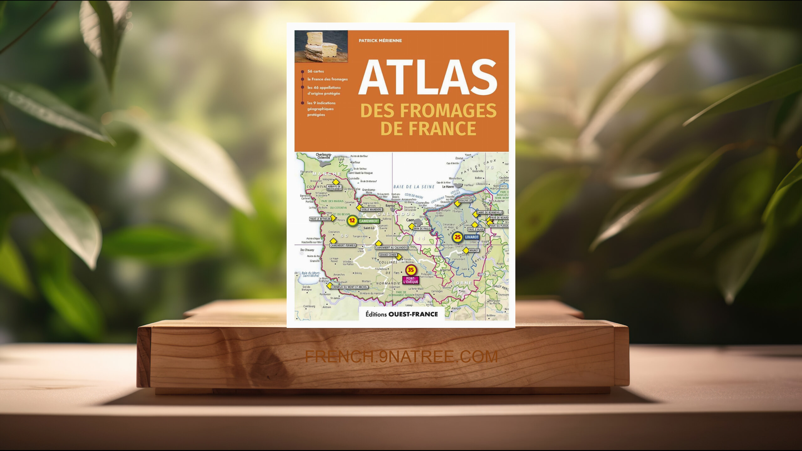 [Critique] Atlas des fromages de France (Patrick Mérienne) Résumé.