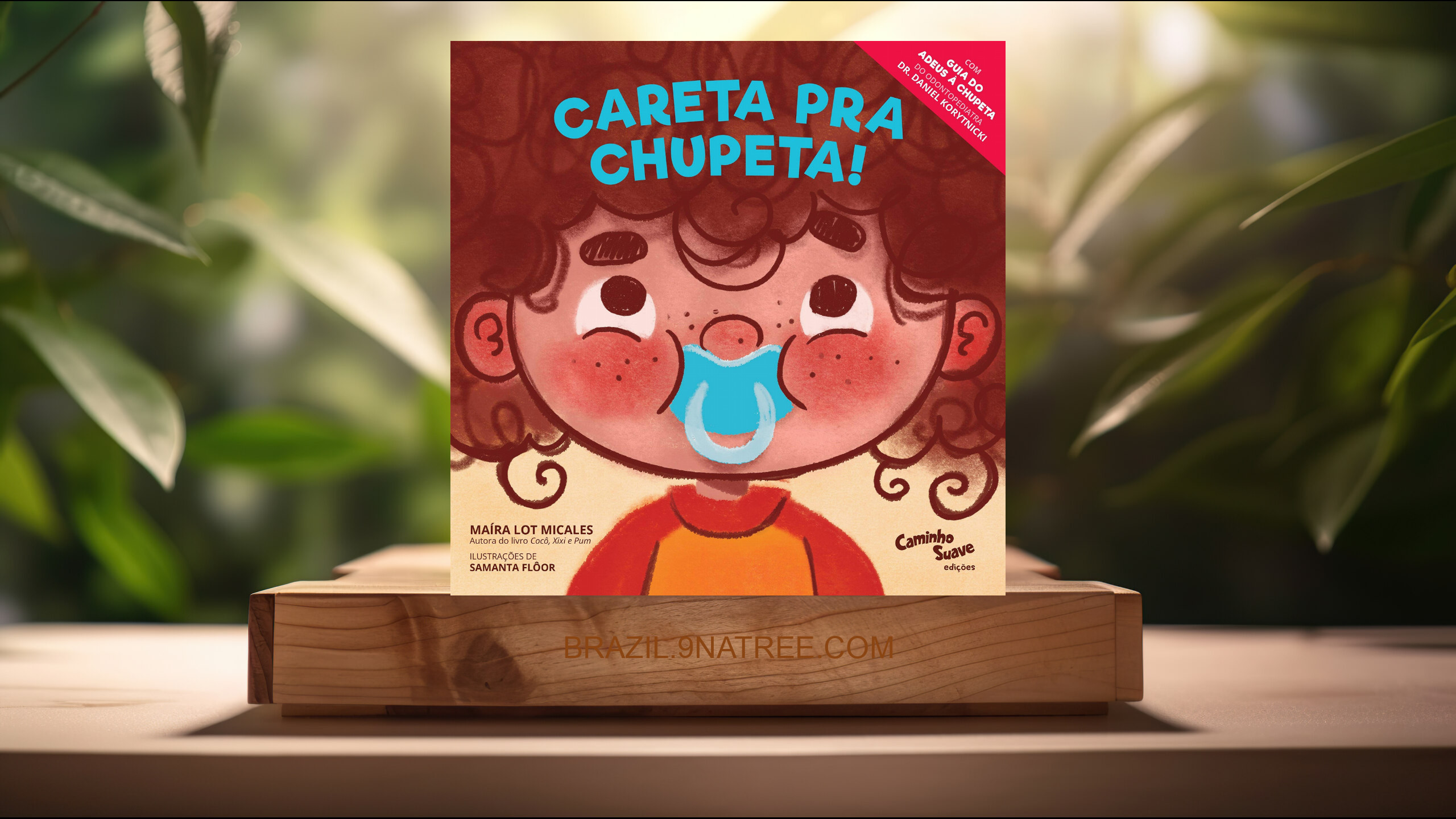 [Análises] Careta pra Chupeta! - O livro infantil para largar a chupeta (Maíra Lot Micales) Resumidos.
