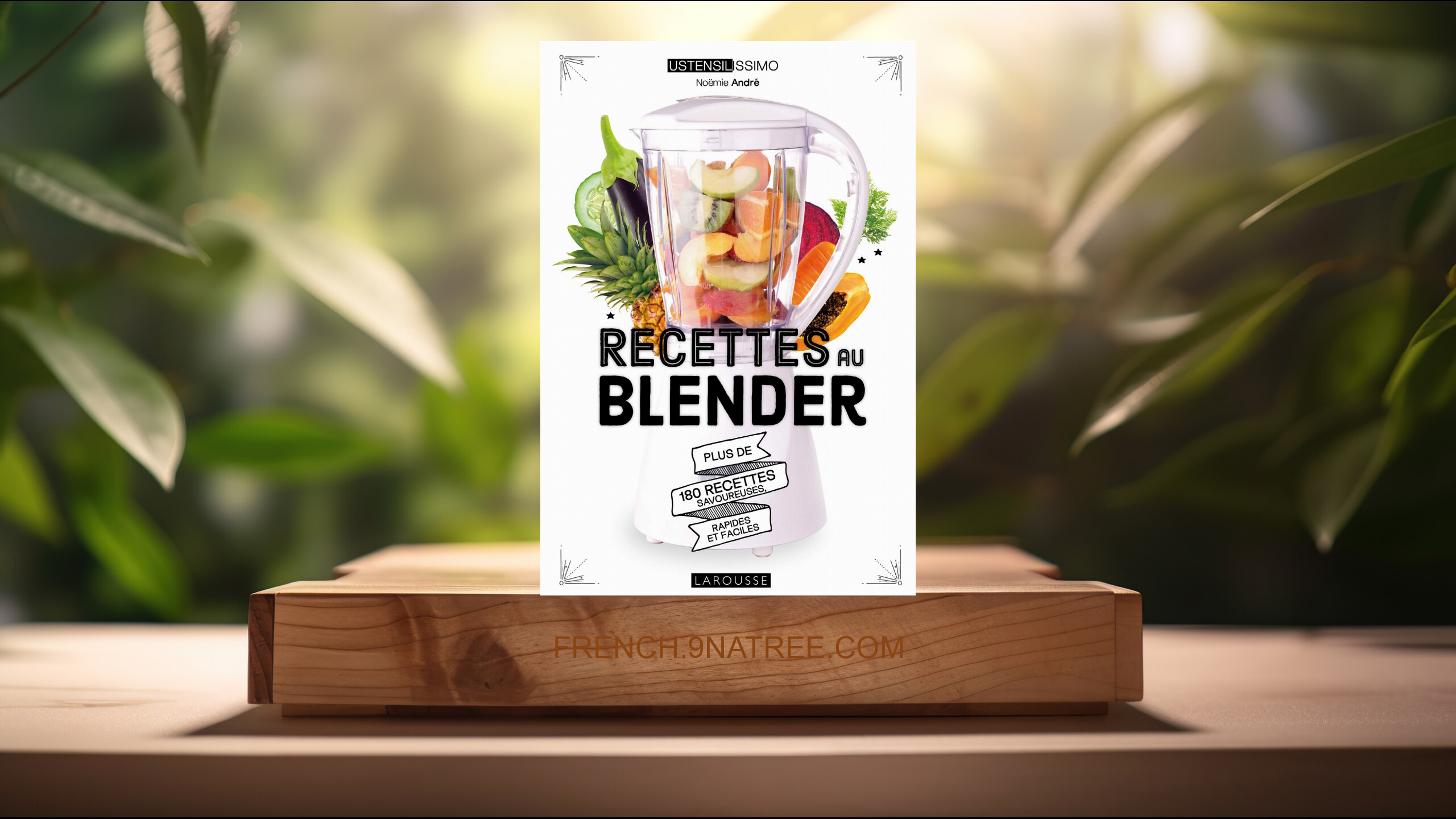 [Critique] Recettes au blender (Noëmie André) Résumé.