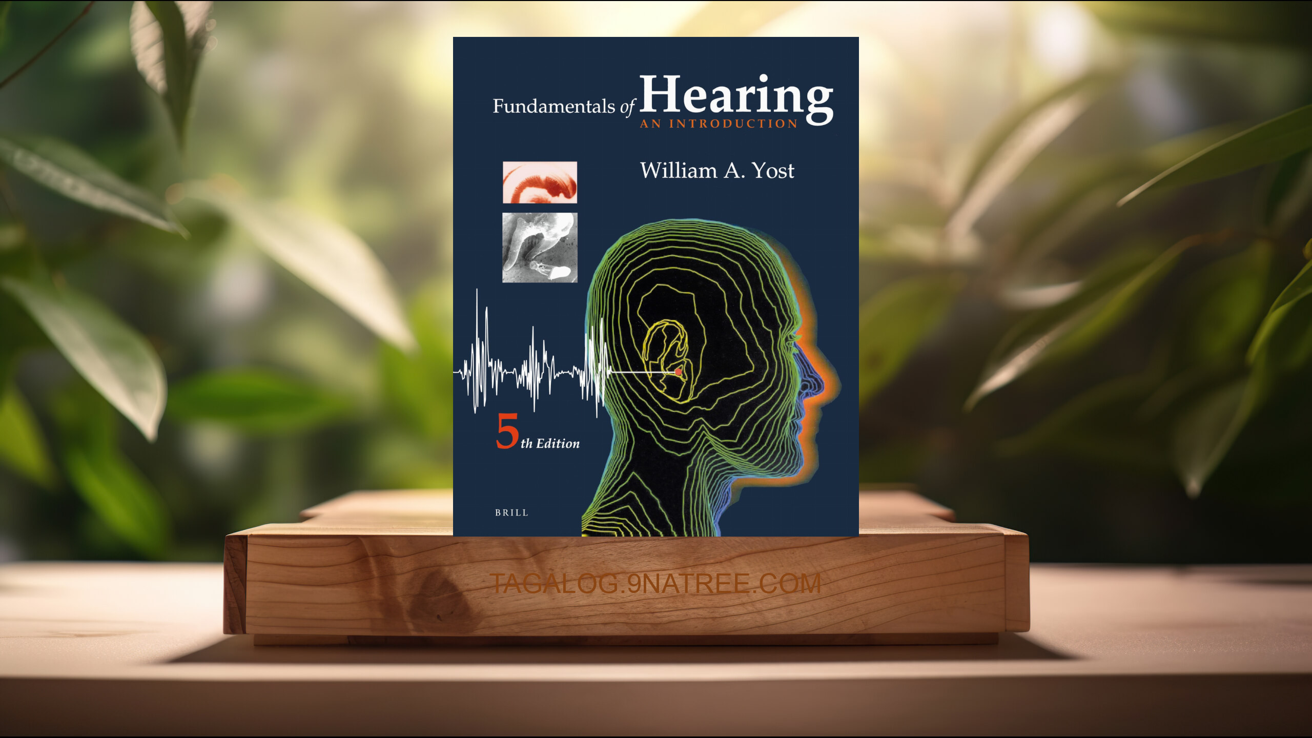 [Pagsusuri] Fundamentals of Hearing: An Introduction: Fifth Edition (William Yost) Nabuod.