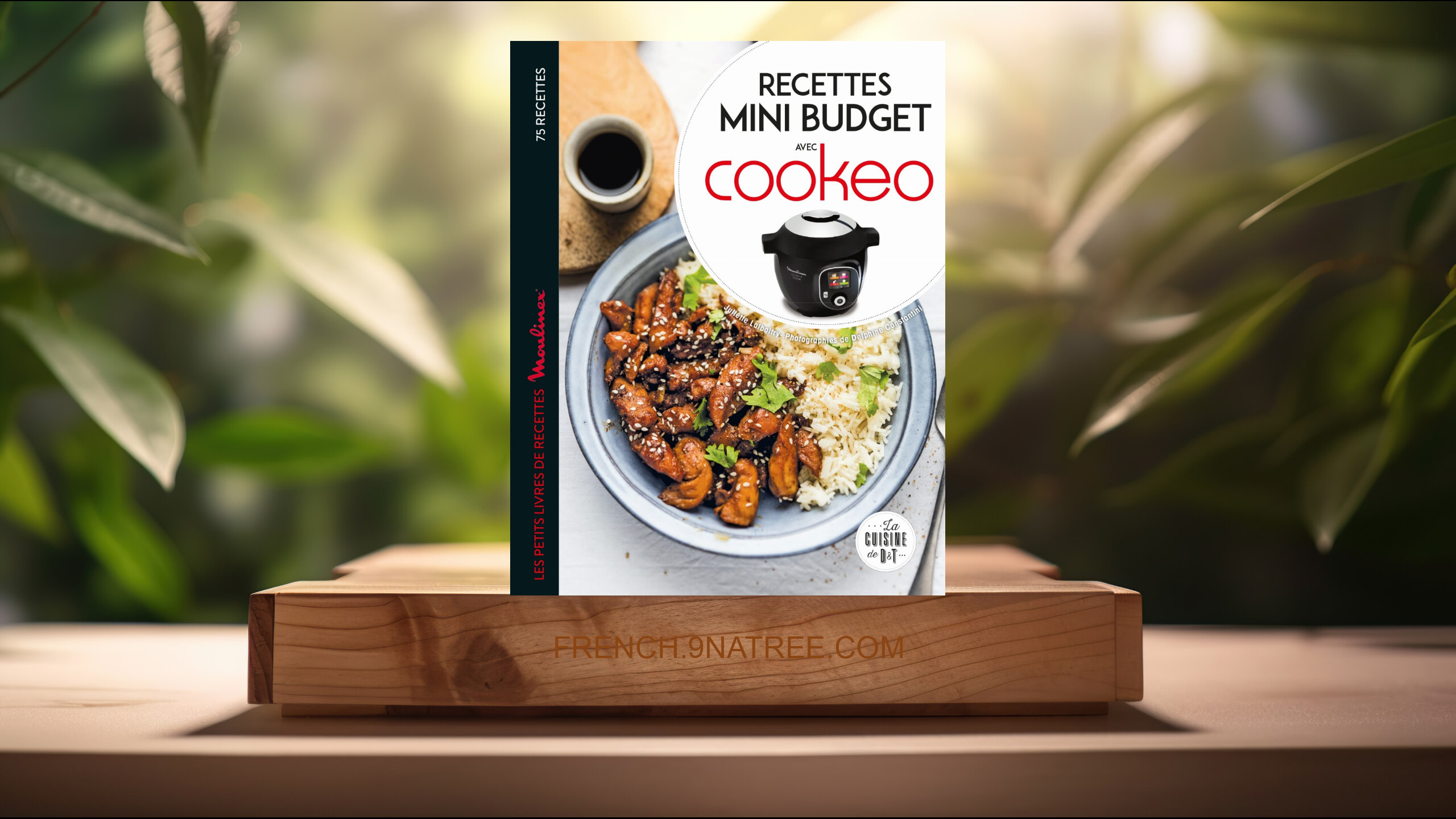 [Critique] Recettes mini budget avec cookeo (Juliette Lalbaltry) Résumé.