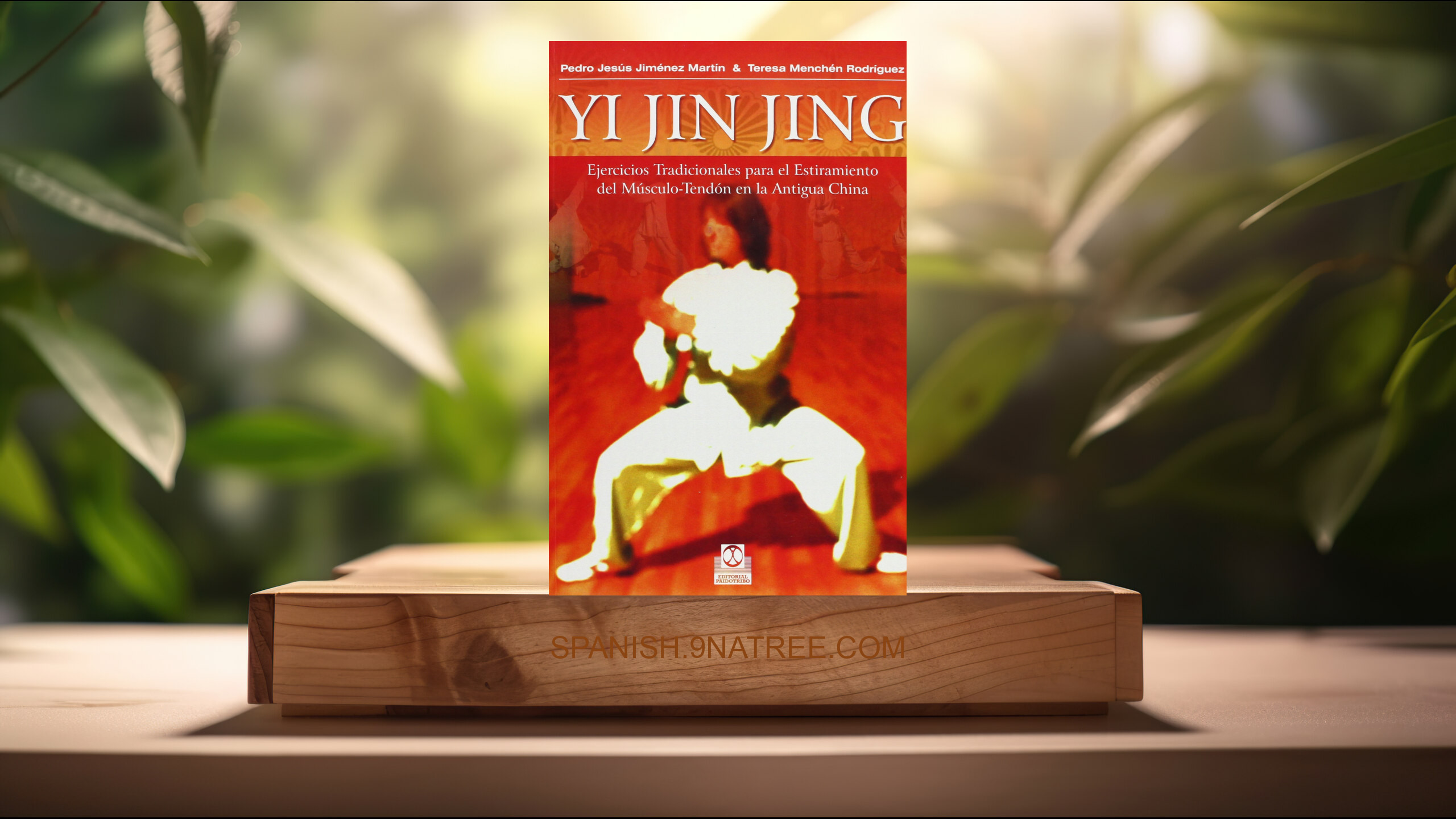[Reseña] Yi Jin Jing. Ejercicios tradicionals para el estiramiento del músculo-tendón en la antigua China  (Pedro Jesús Jiménez Martín) Resumida.