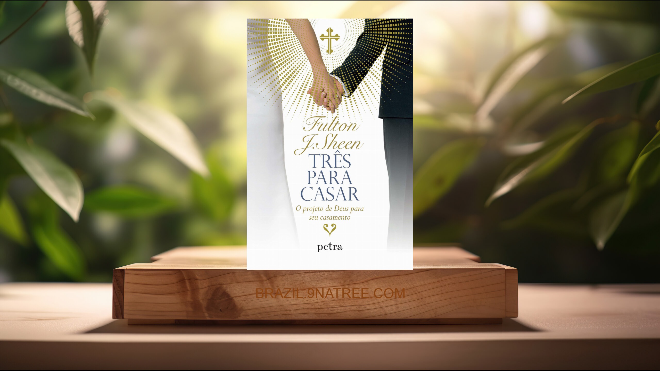 [Análises] Três para casar: O projeto de Deus para seu casamento (Fulton Sheen) Resumidos.