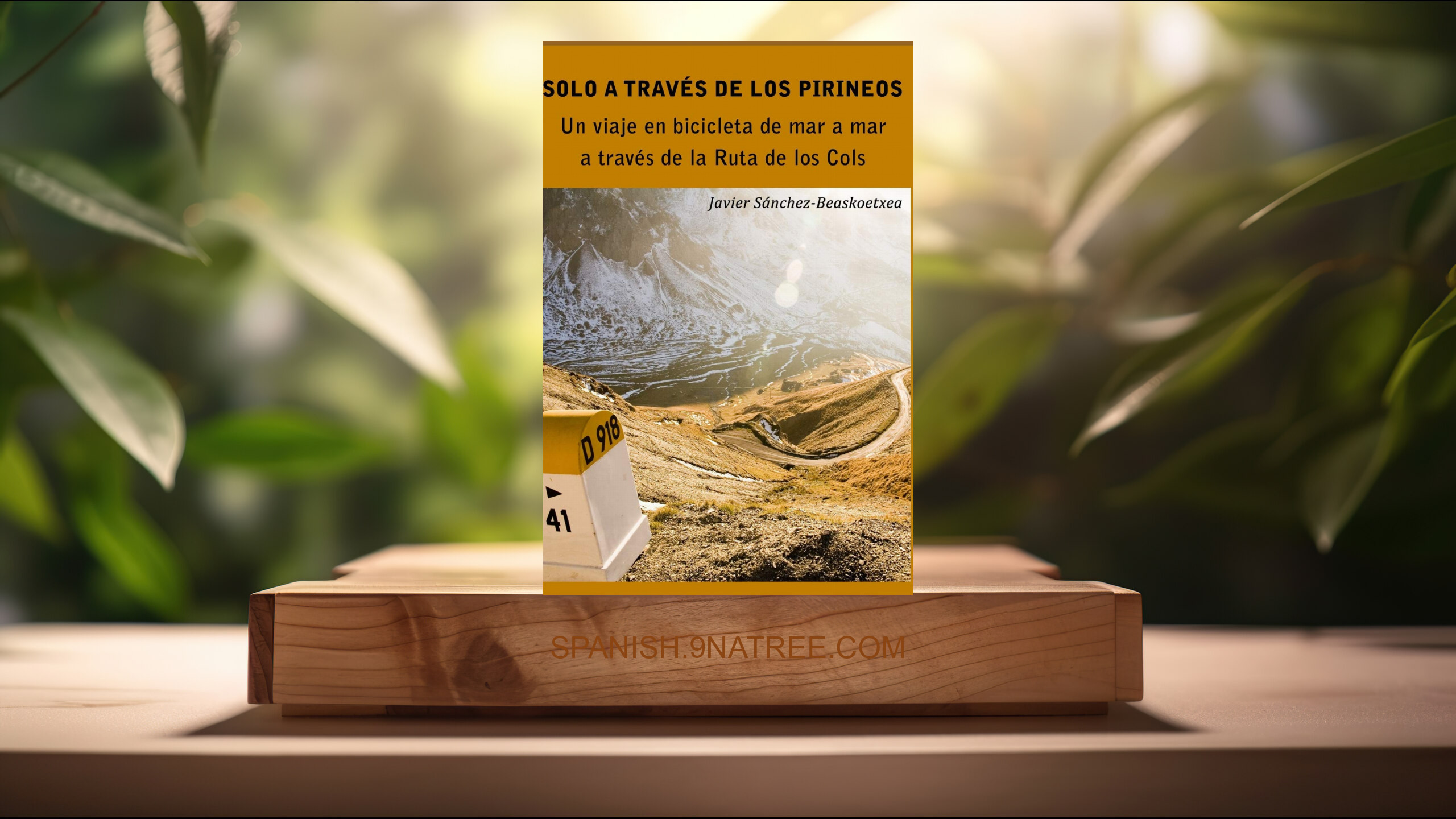 [Reseña] Solo a través de los Pirineos (Javier Sánchez-Beaskoetxea) Resumida.
