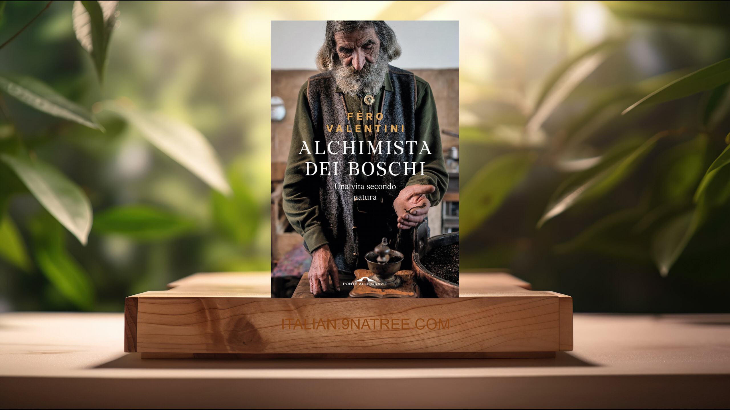 [Recensione] Alchimista dei boschi (Ferruccio Valentini) Riassunto.