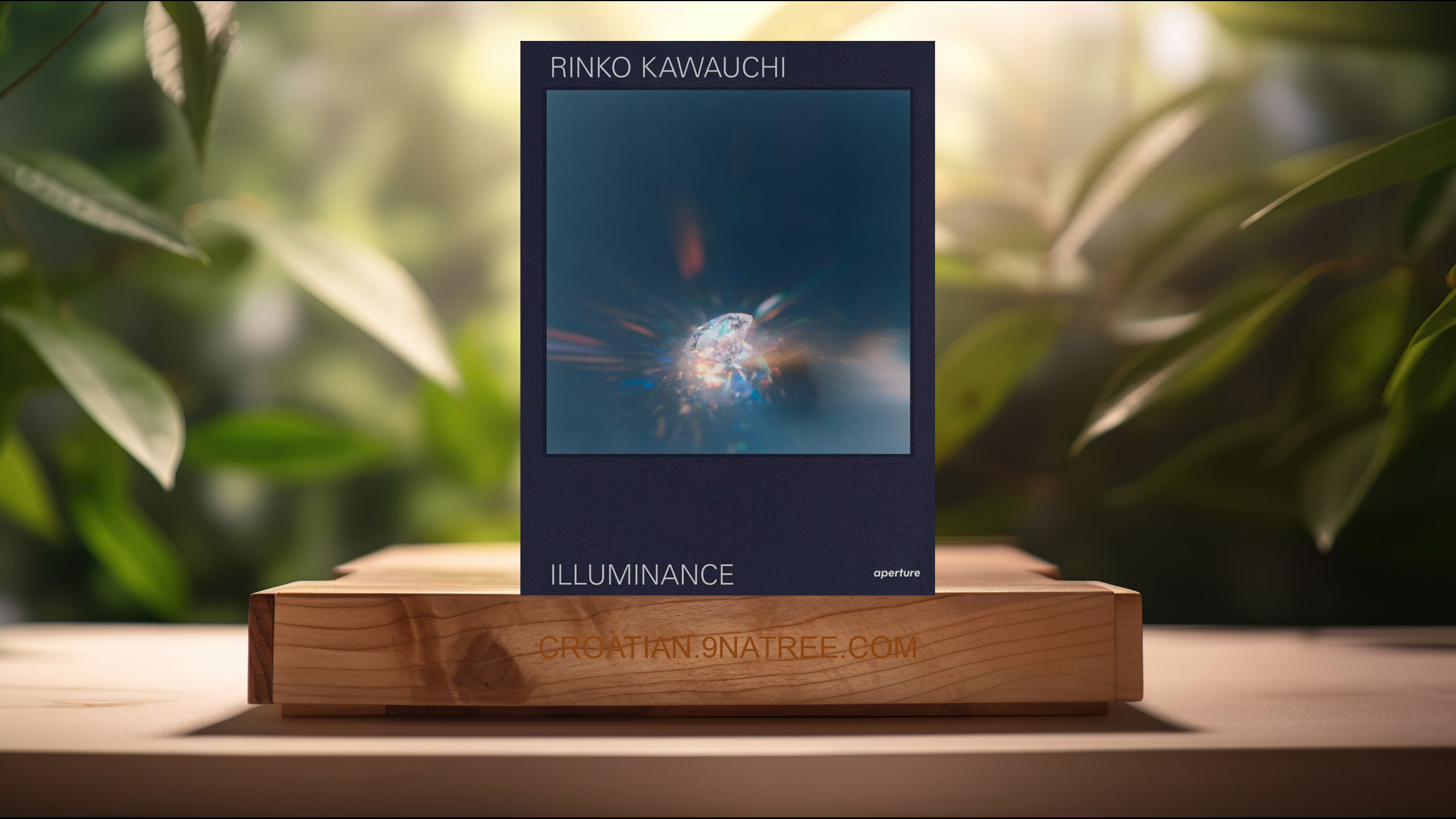 [Recenzija] Rinko Kawauchi: Illuminance: The Tenth Anniversary Edition (Rinko Kawauchi) Sažeto.