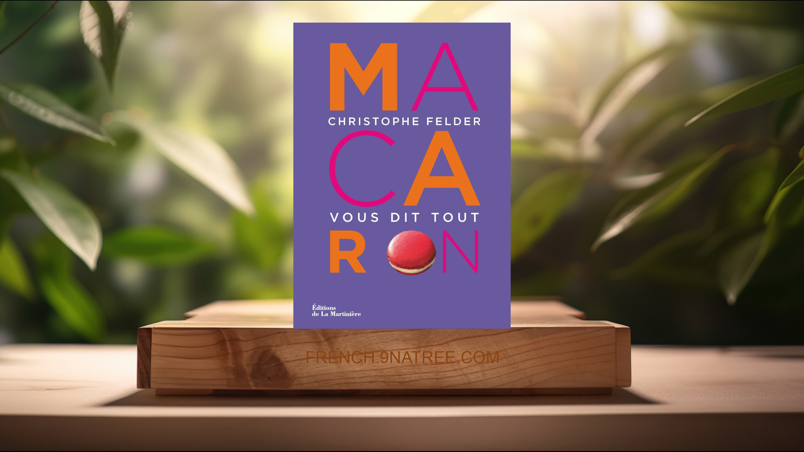 [Critique] Macaron !: Christophe Felder vous dit tout (Christophe Felder) Résumé.