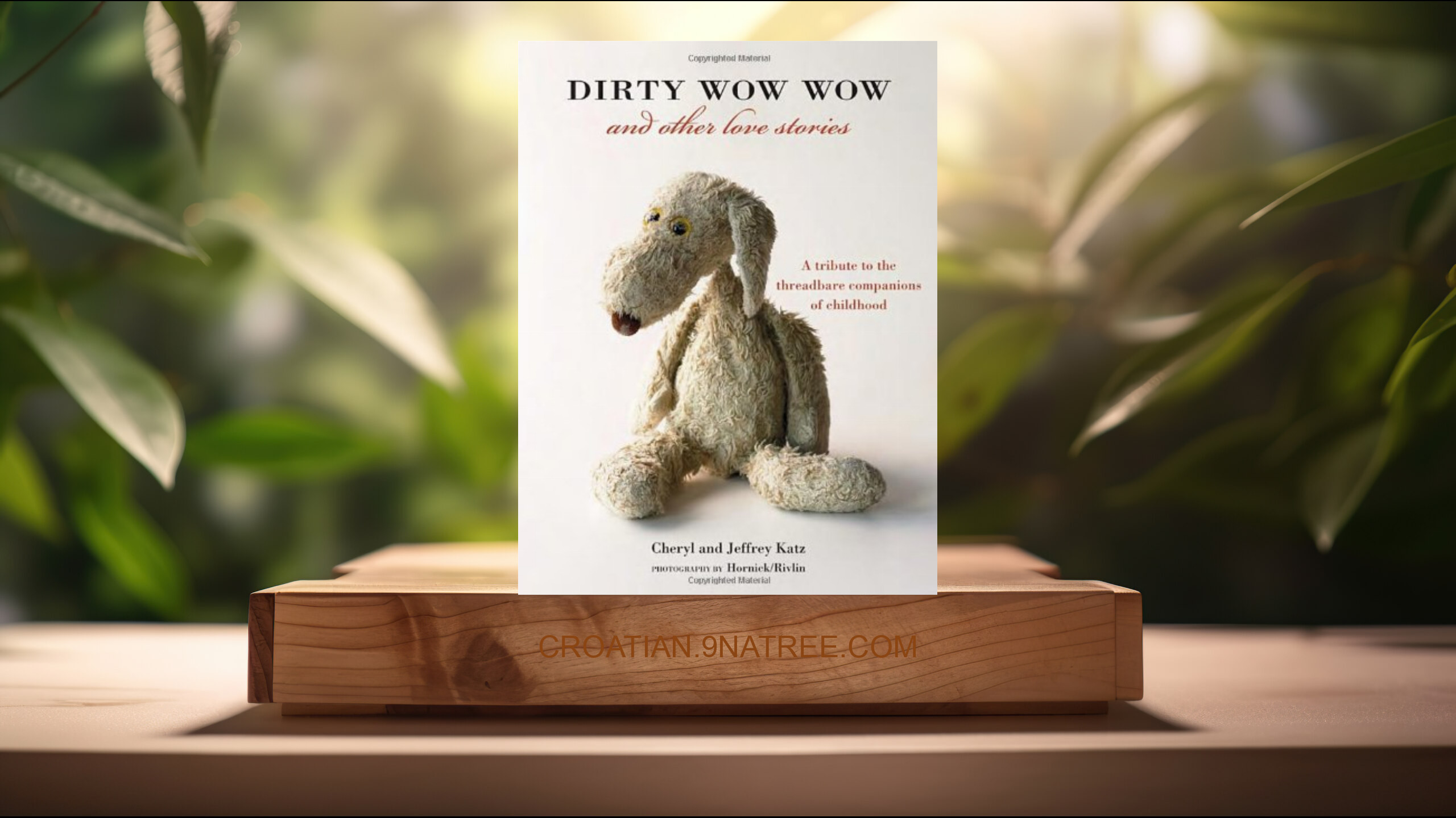 [Recenzija] Dirty Wow Wow and Other Love Stories (Cheryl Katz) Sažeto.
