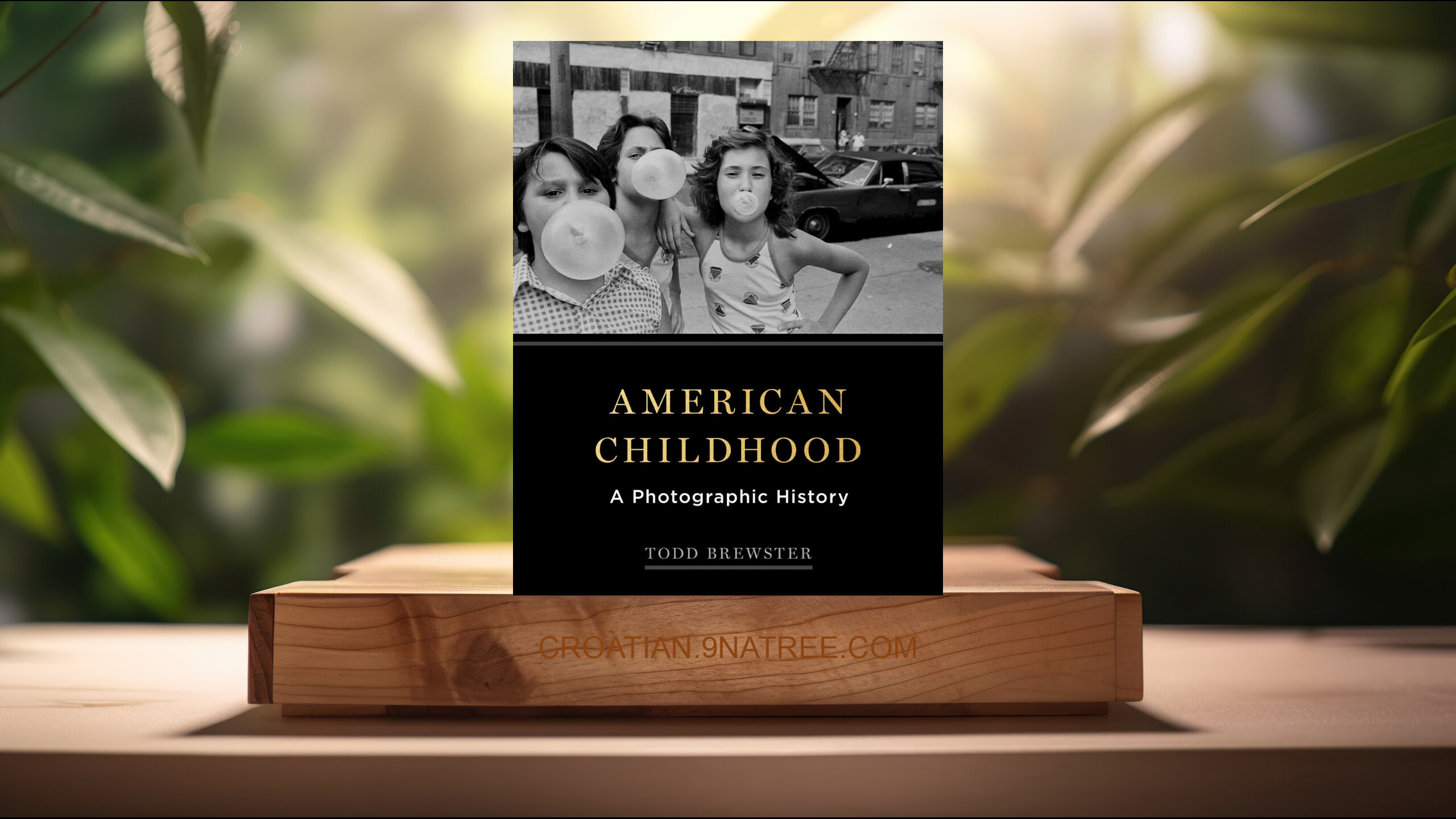 [Recenzija] American Childhood: A Photographic History (Todd Brewster) Sažeto.