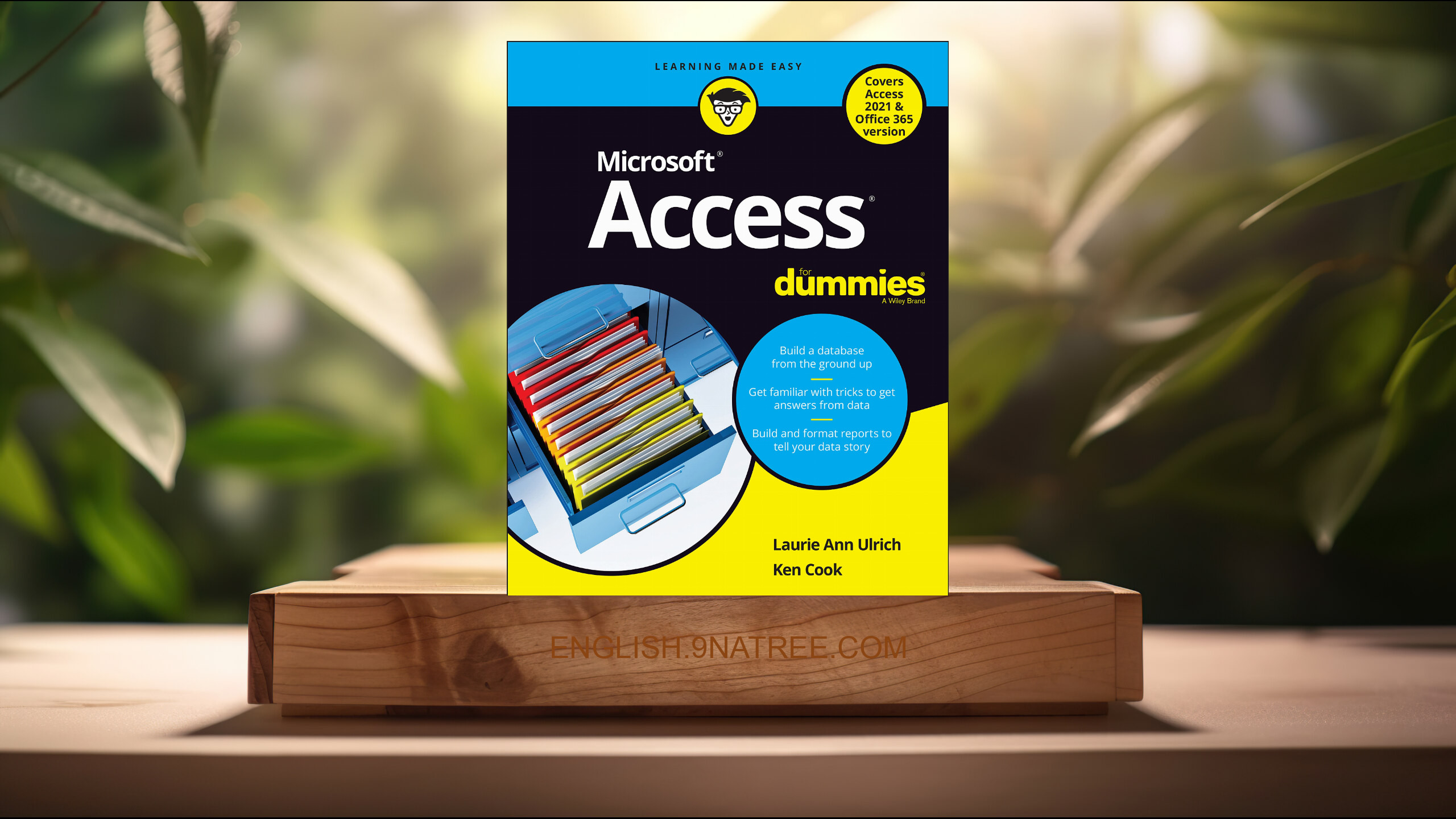 [Review] Access For Dummies ) (Laurie A. Ulrich) Summarized.