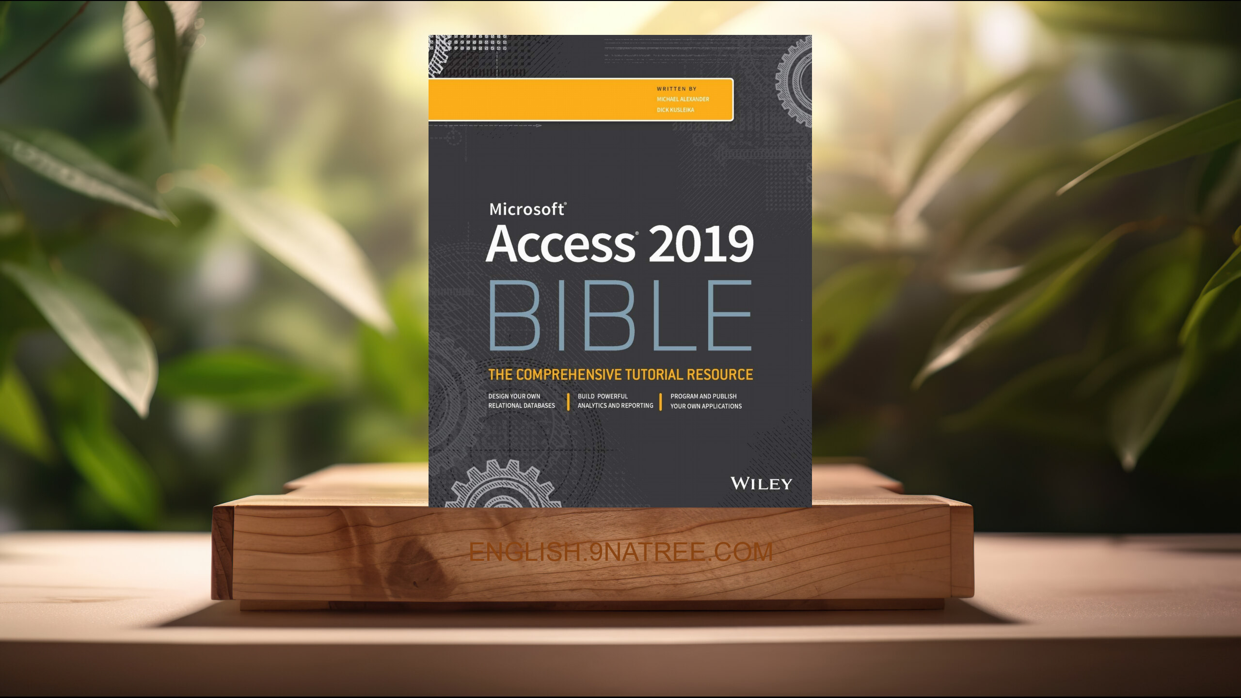 [Review] Access 2019 Bible (Michael Alexander) Summarized.