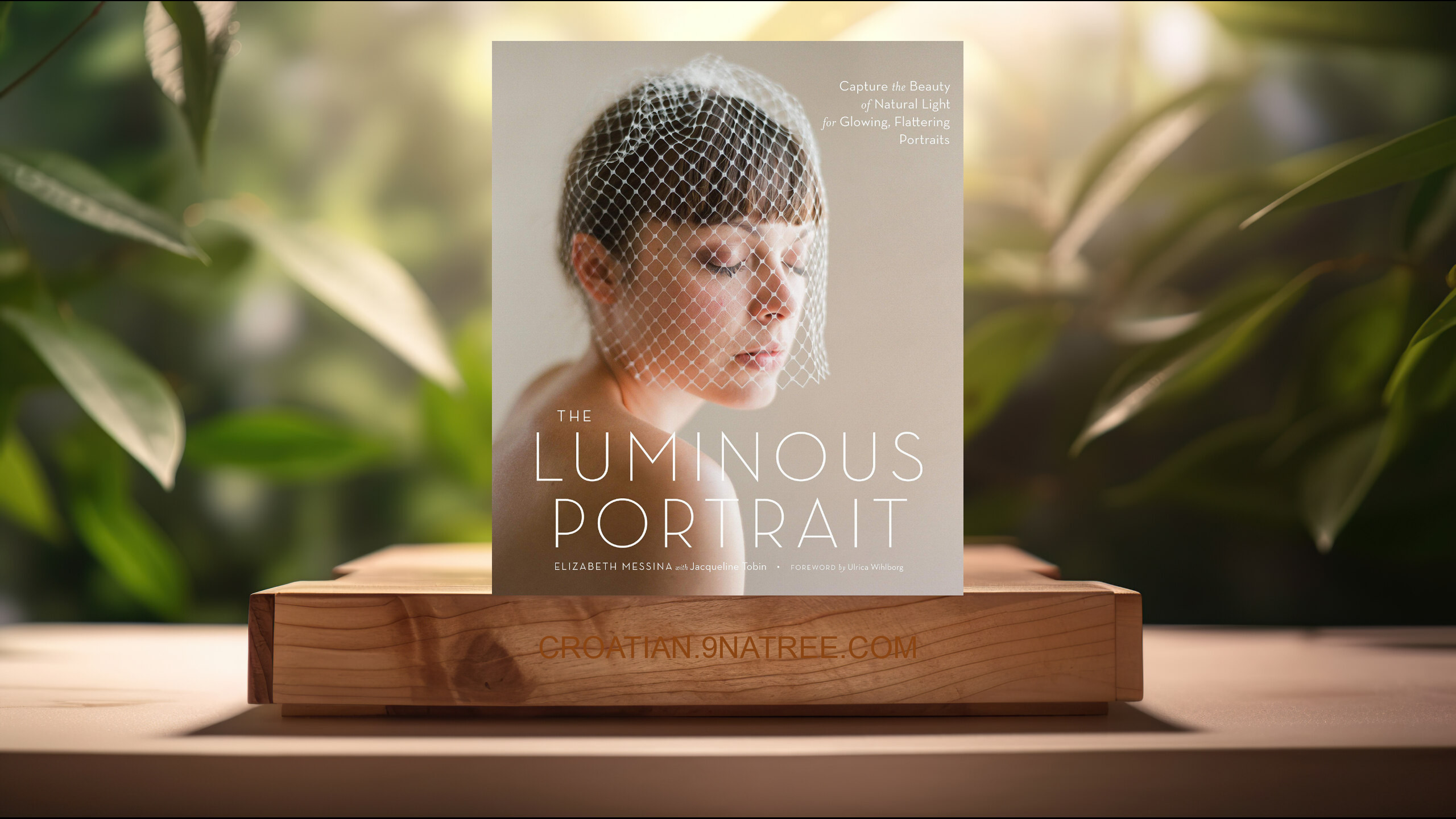 [Recenzija] The Luminous Portrait (Elizabeth Messina) Sažeto.