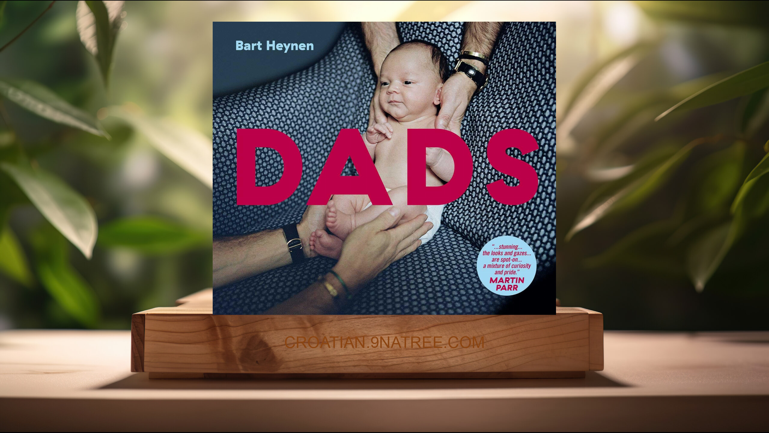 [Recenzija] Dads (Bart Heynen) Sažeto.