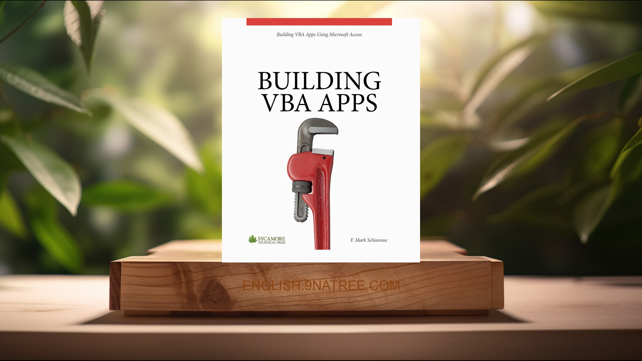 [Review] Building VBA Apps: Using Microsoft Access (F. Mark Schiavone) Summarized.