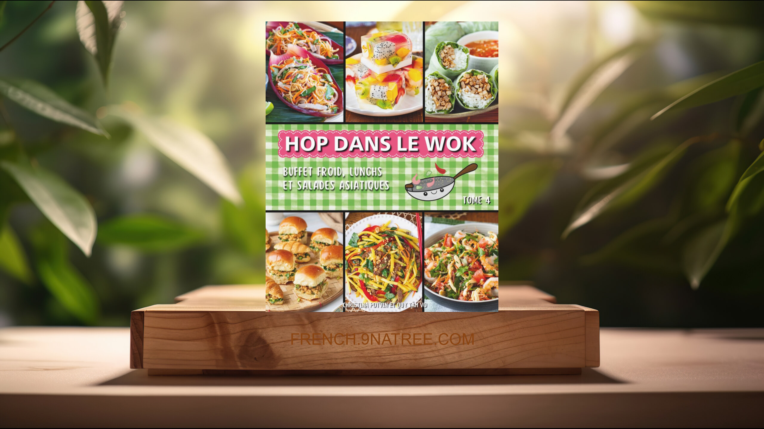 [Critique] HOP DANS LE WOK: Buffet froid, lunchs et salades asiatiques (Christina Potvin) Résumé.