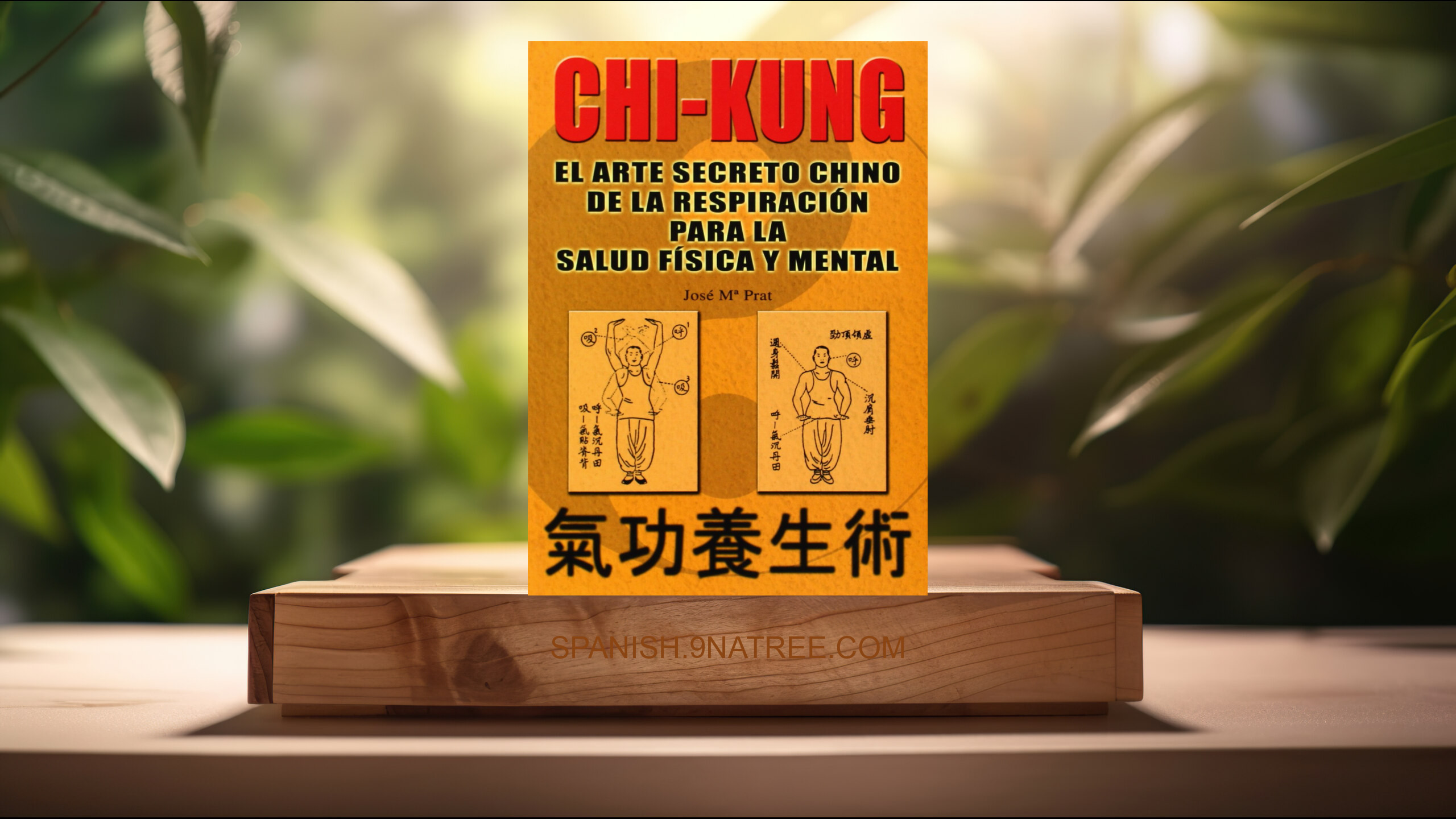[Reseña] Chi kung  (Jose Maria Prat) Resumida.