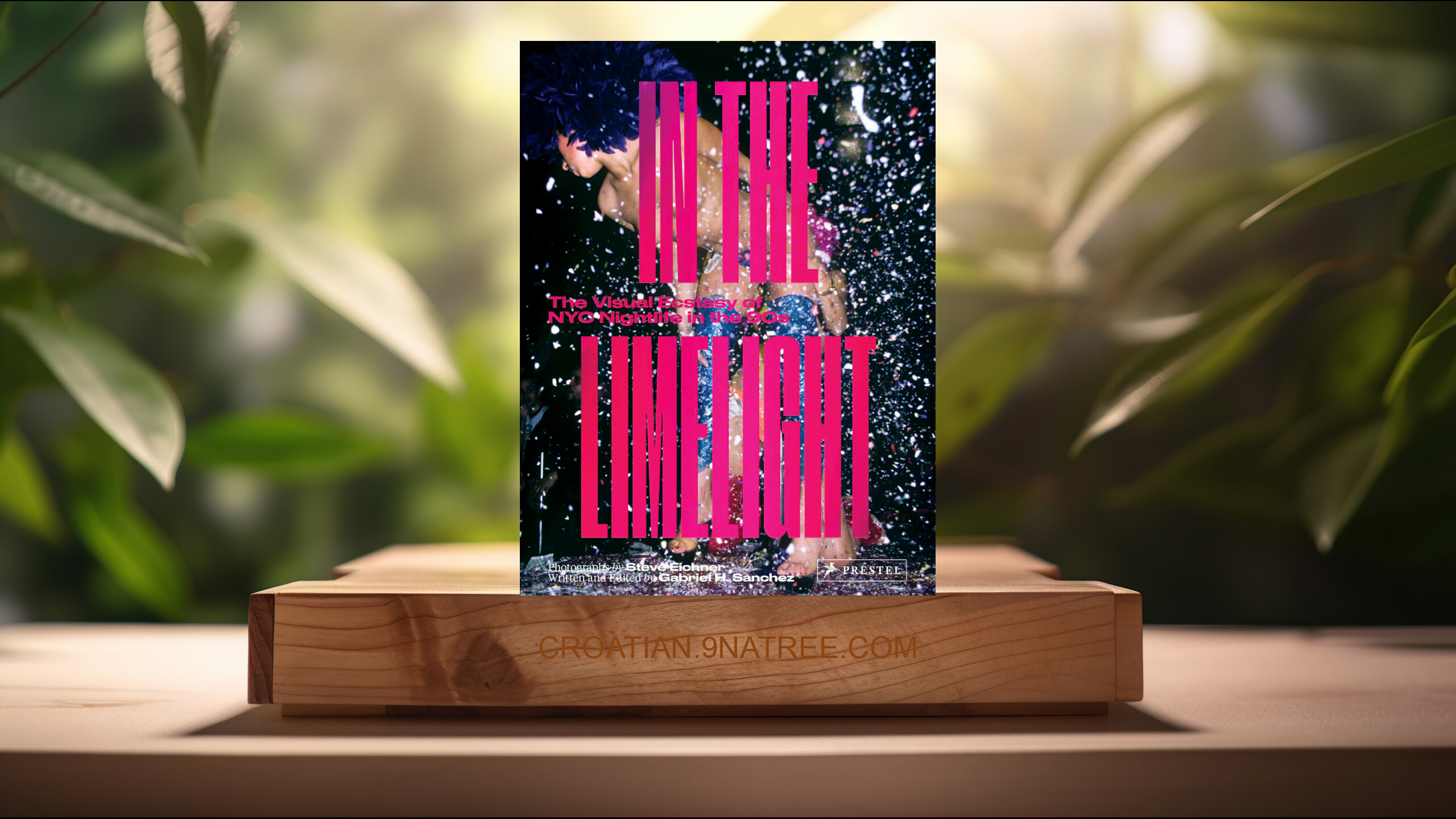 [Recenzija] In the Limelight: The Visual Ecstasy of NYC Nightlife in the 90s (Steve Eichner) Sažeto.