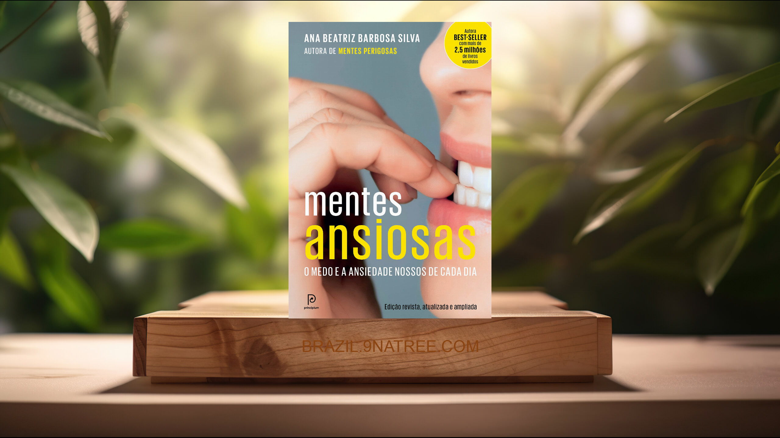 [Análises] Mentes ansiosas: O medo e a ansiedade nossos de cada dia (Dra. Ana Beatriz Barbosa Silva) Resumidos.