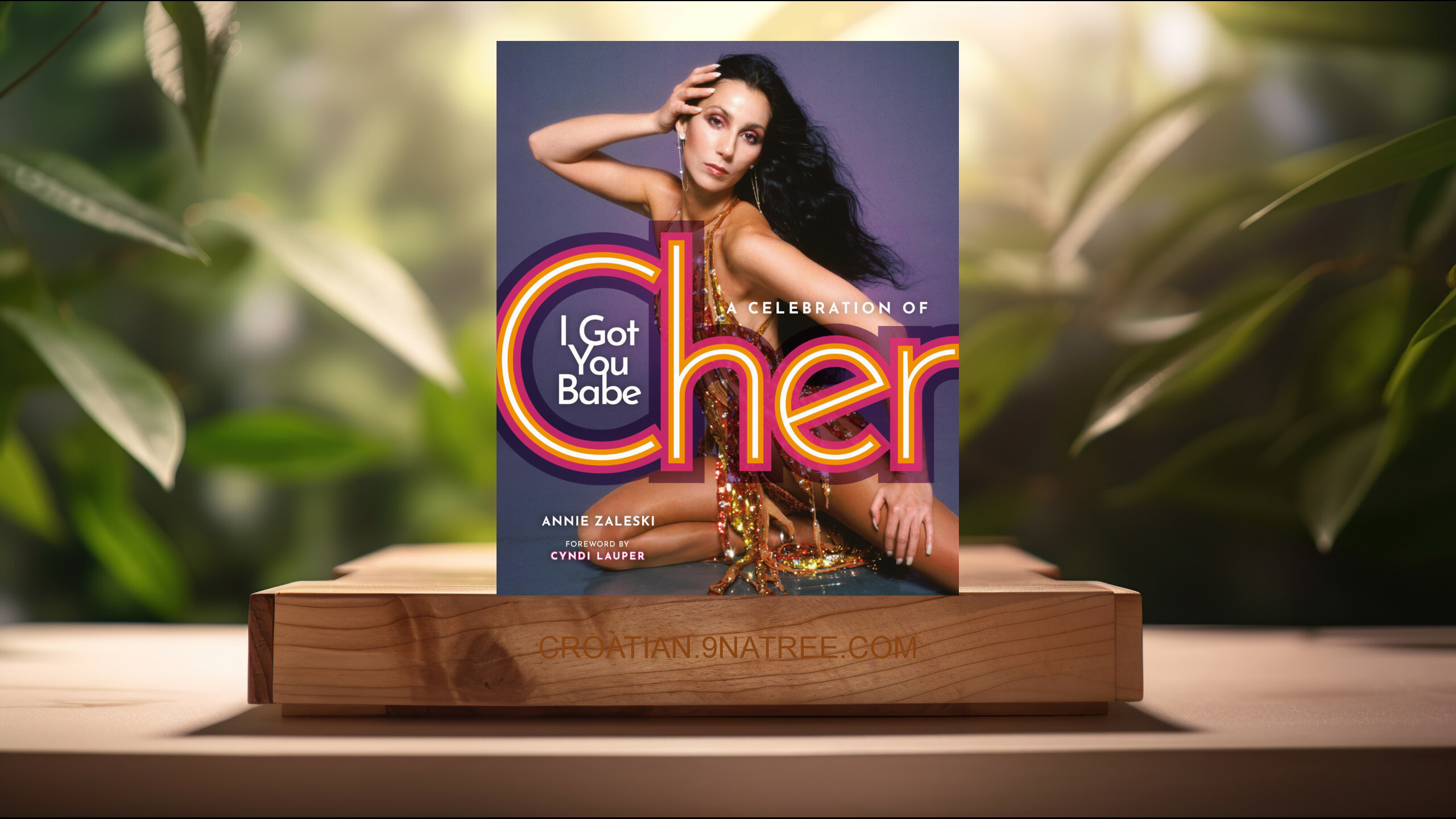 [Recenzija] I Got You Babe: A Celebration of Cher (Annie Zaleski) Sažeto.