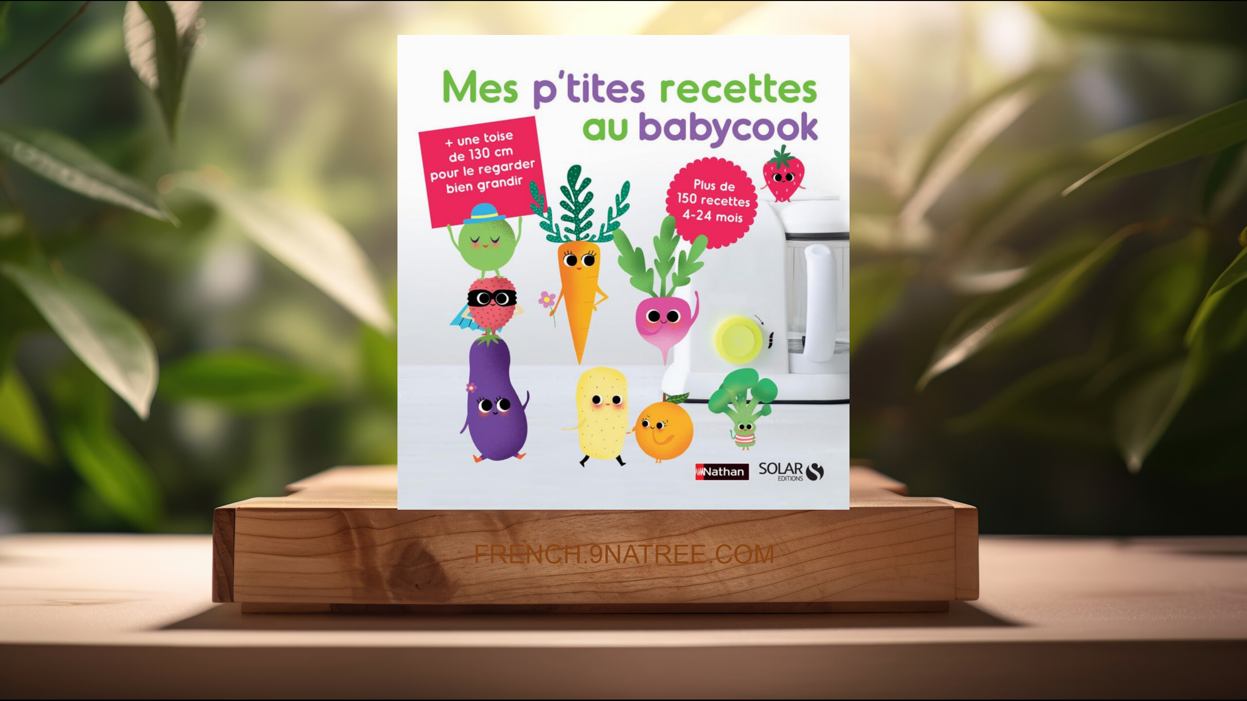 [Critique] Mes p'tites recettes au babycook NE (Bérengère Abraham) Résumé.